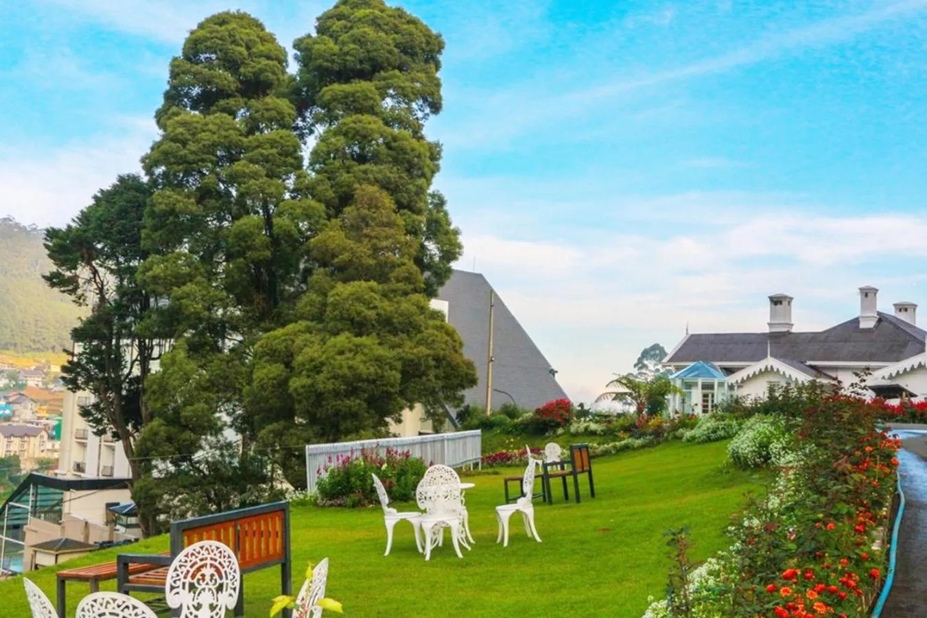 Garden view in The Clovelly Bungalow