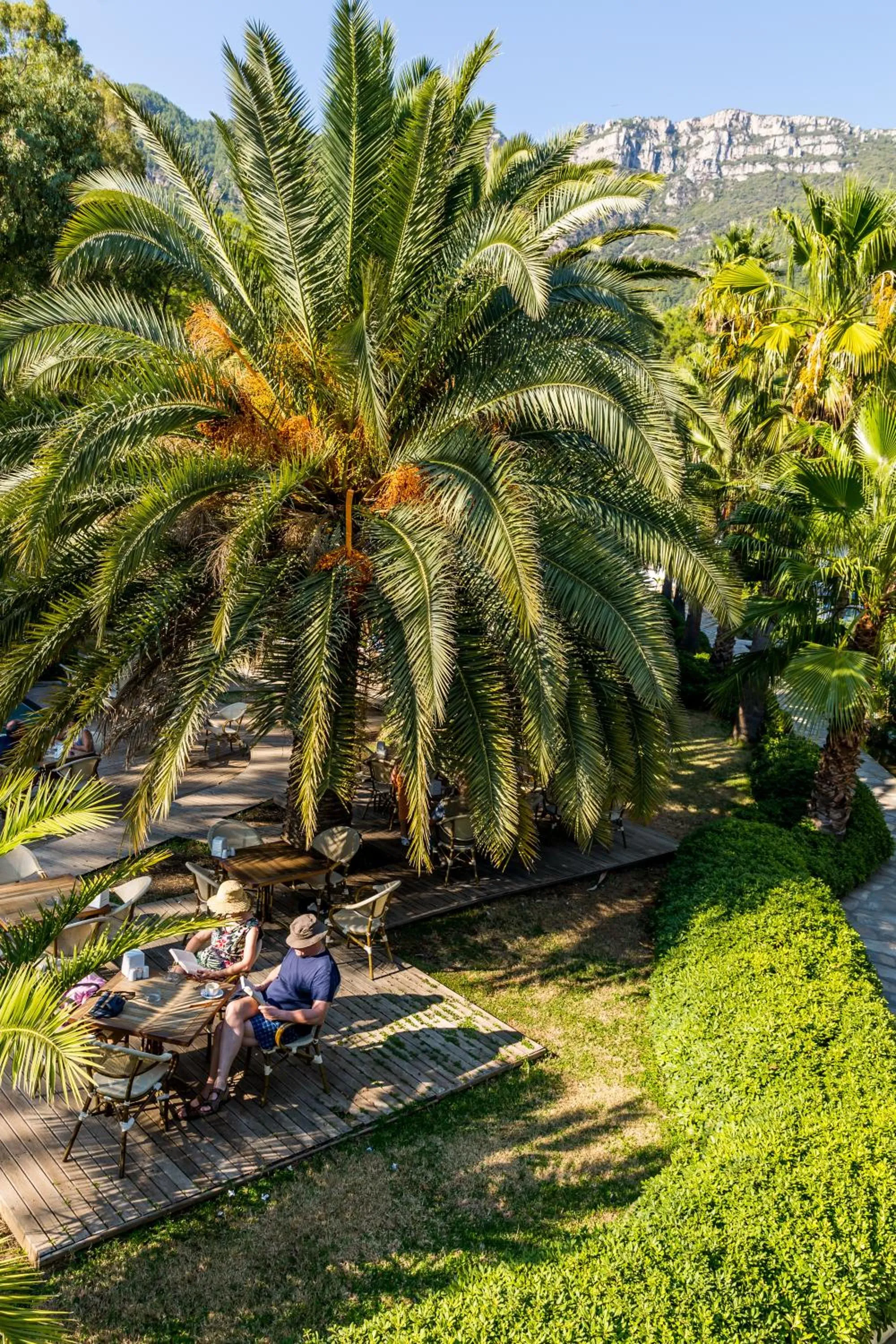 Garden in Yucelen Hotel