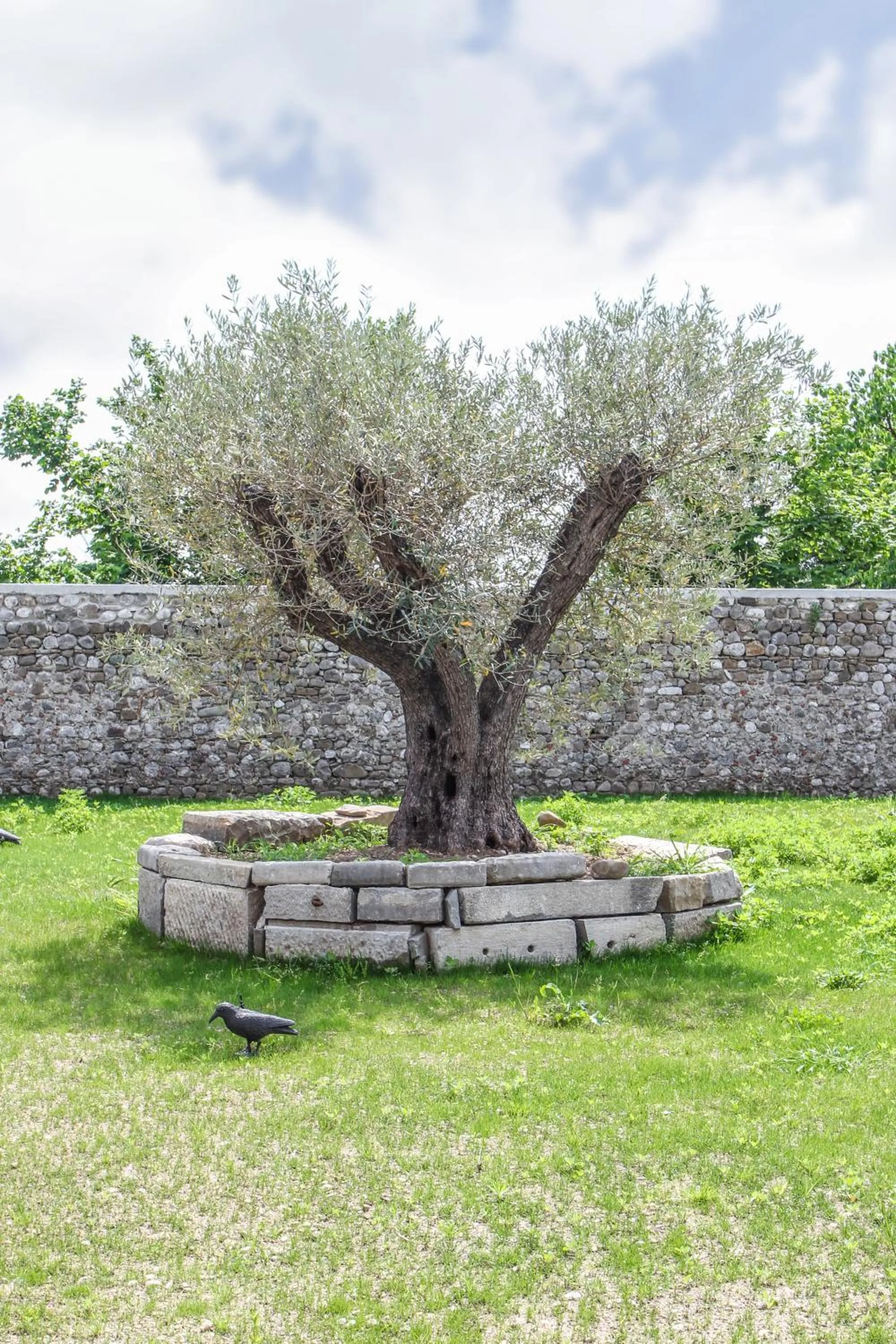 Garden in Al Sa di Te