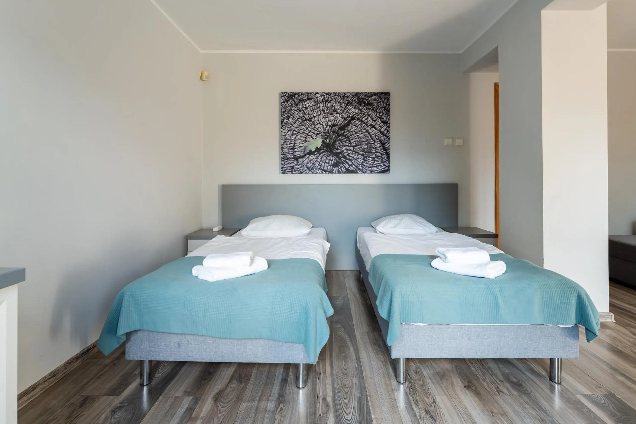 Photo of the whole room, Bed in Willa Sonata - Apartamenty & Balia - Szklarska Poręba