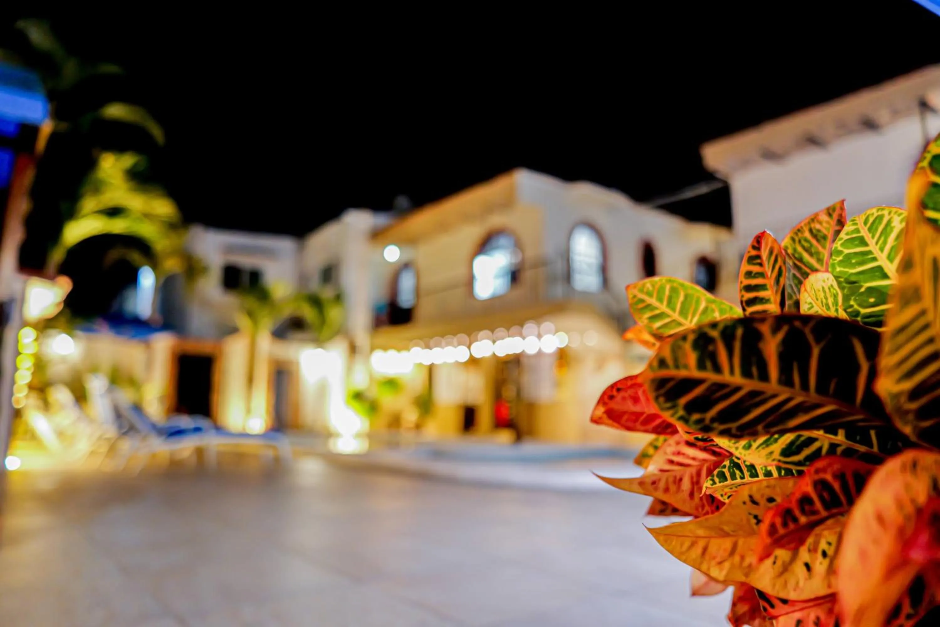 Bungalows Maria Teresa