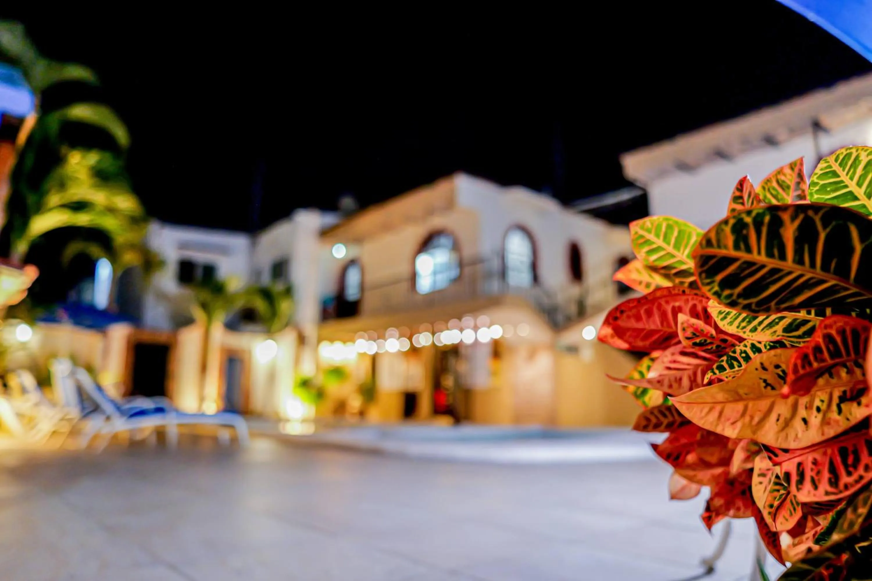 Bungalows Maria Teresa