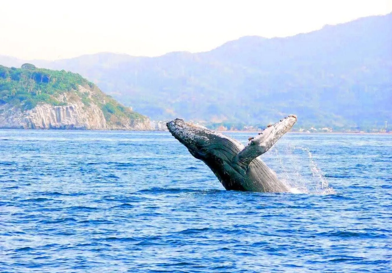 Bungalows Maria Teresa