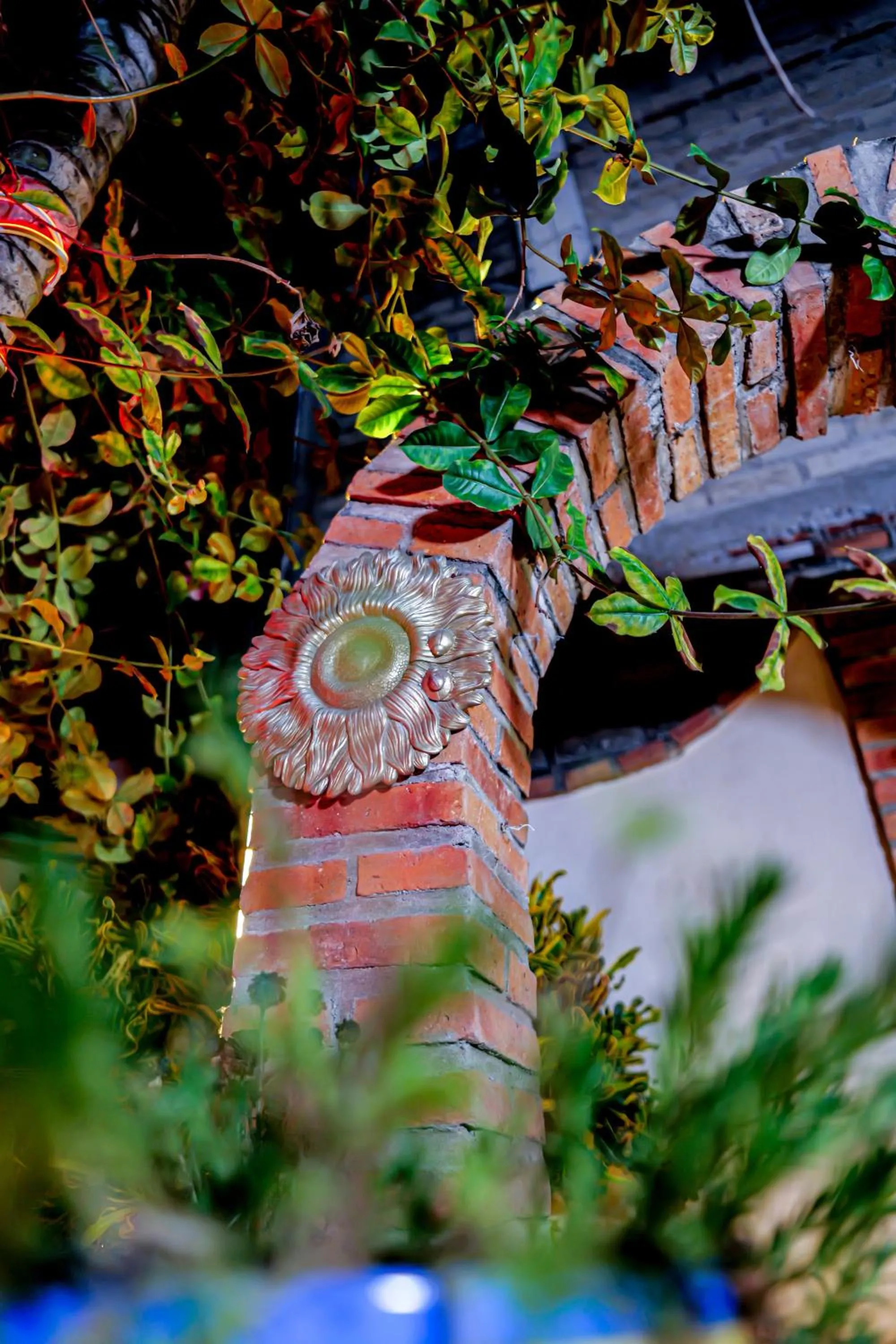 Bungalows Maria Teresa