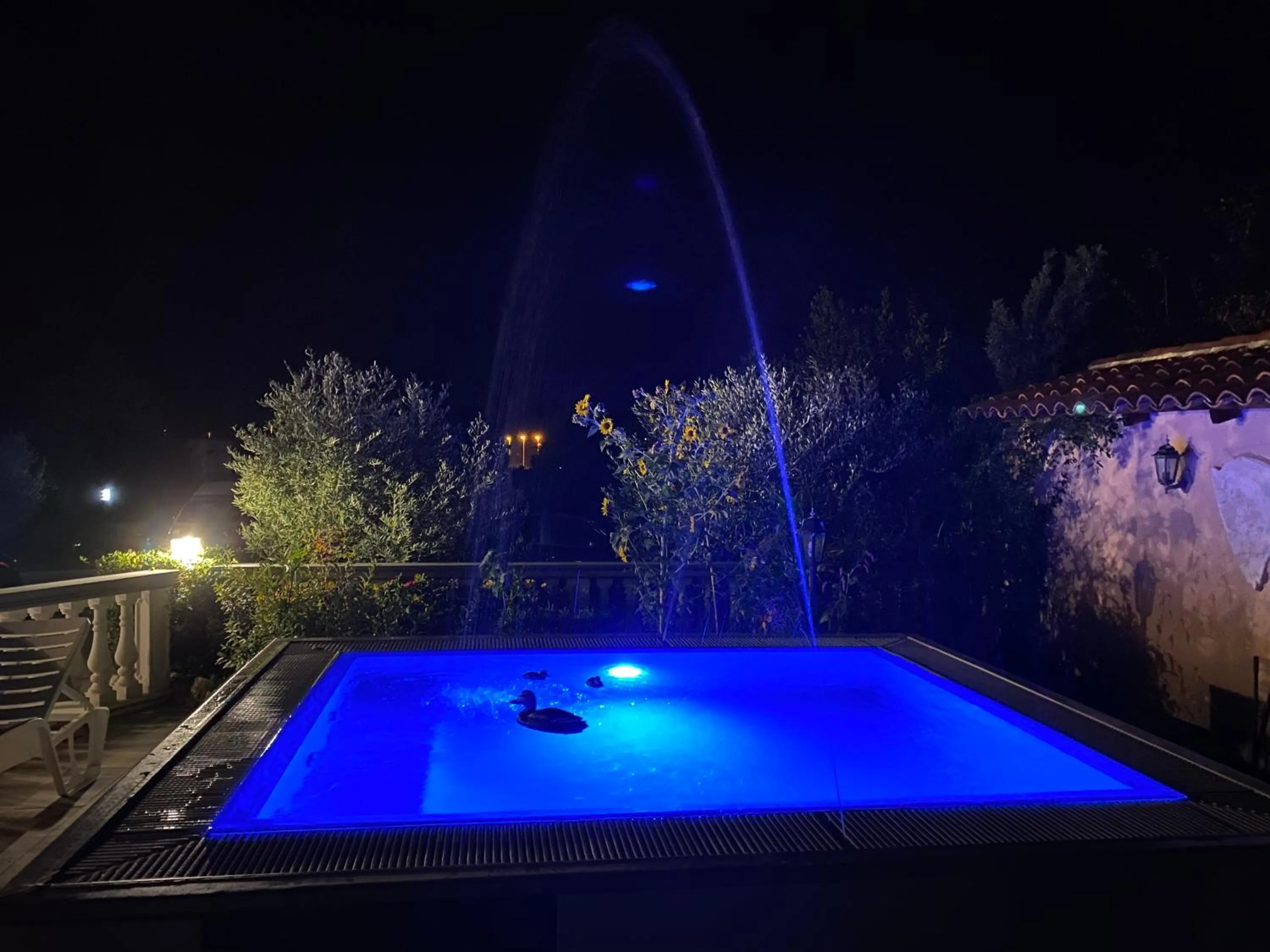 Swimming pool in Hotel Aurora