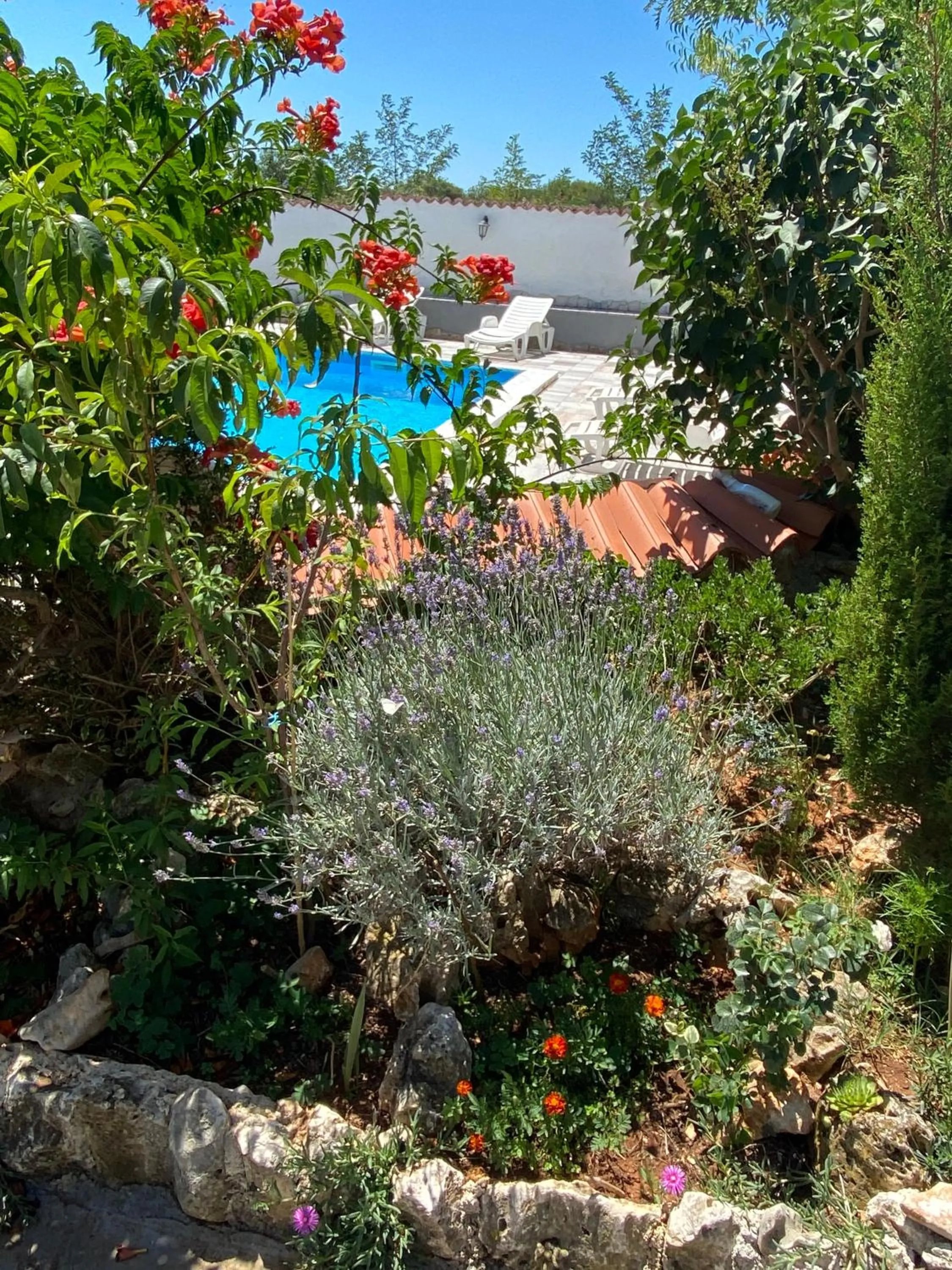 Swimming pool in Hotel Aurora