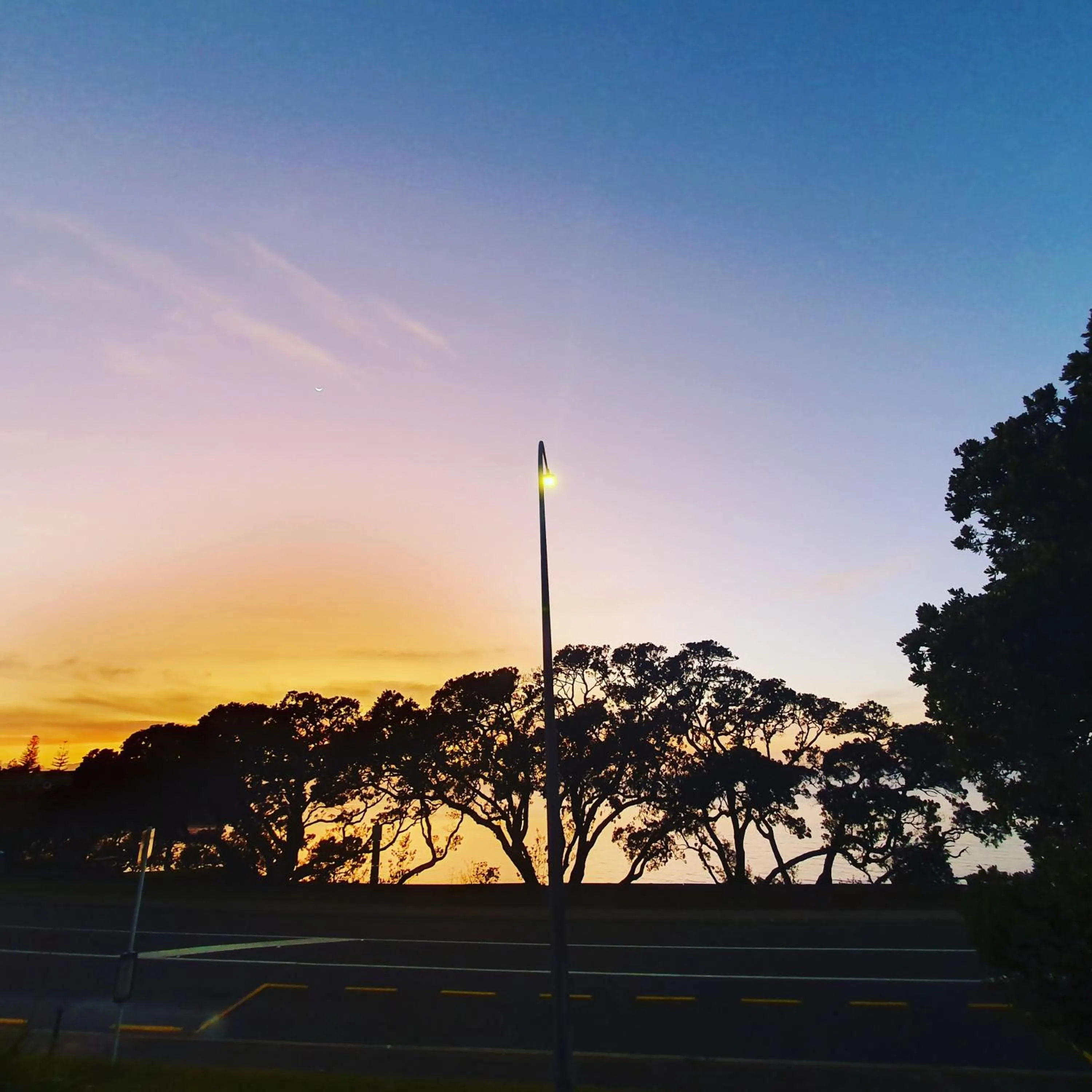 Natural landscape in Whangaparaoa Lodge