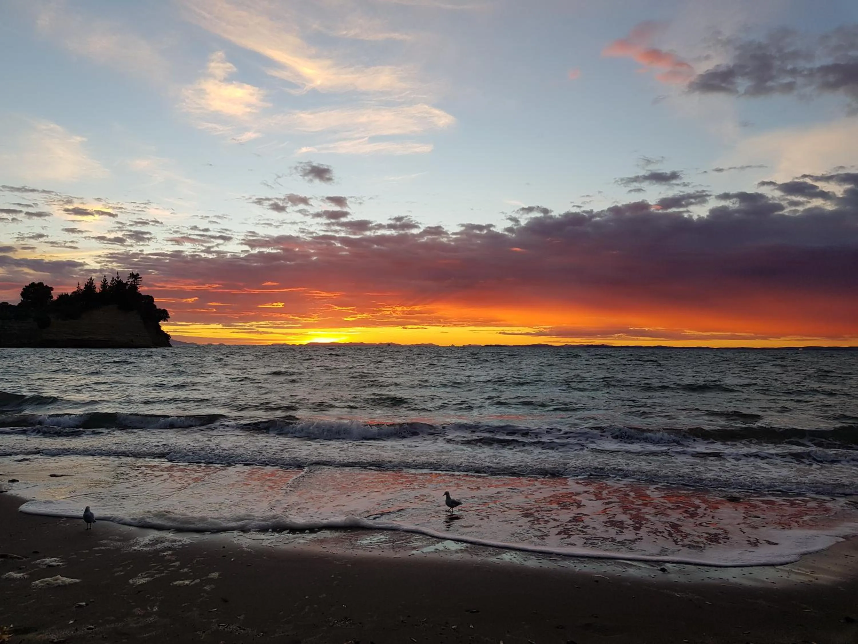 Nearby landmark in Whangaparaoa Lodge