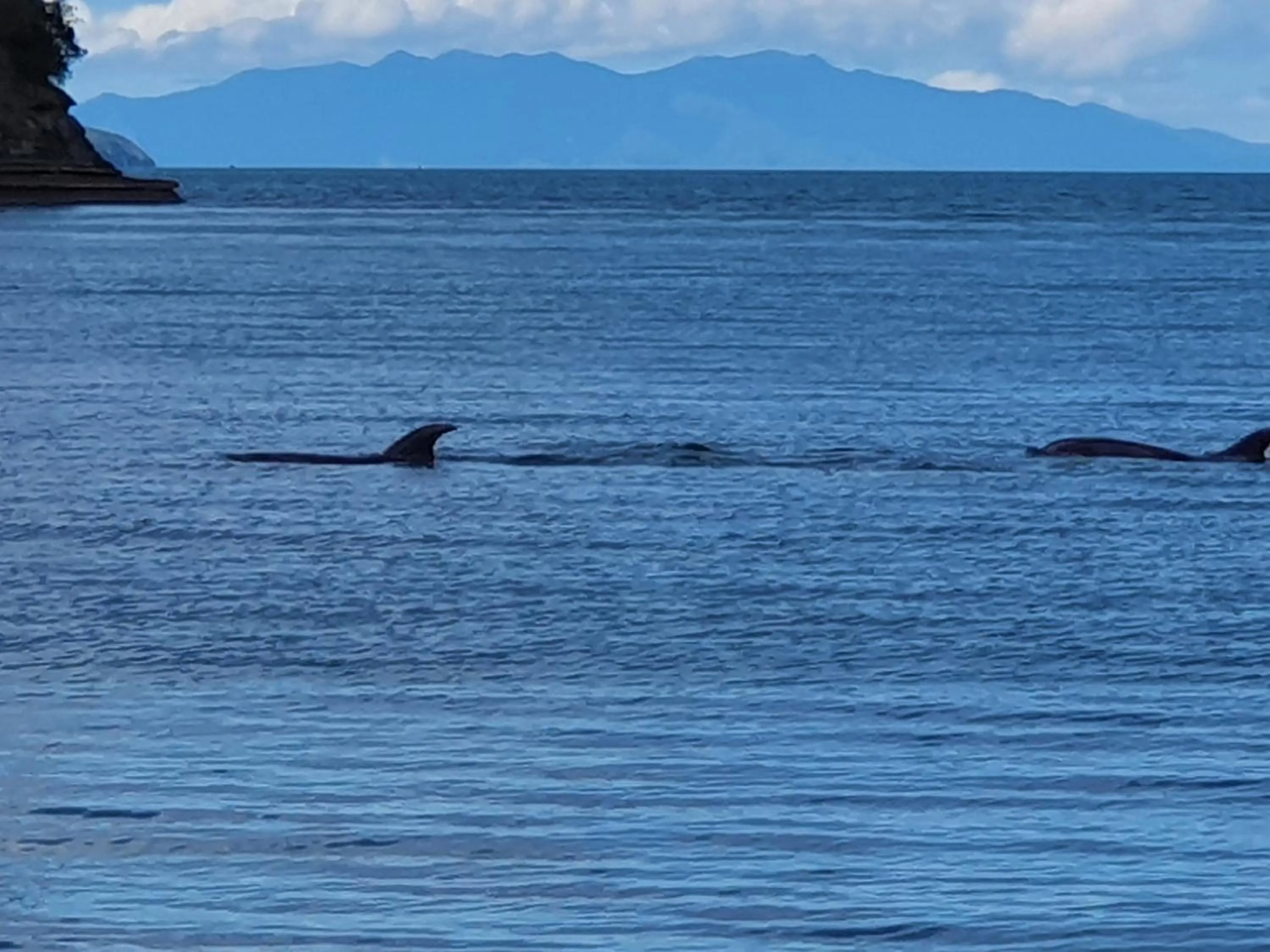 Natural landscape in Whangaparaoa Lodge
