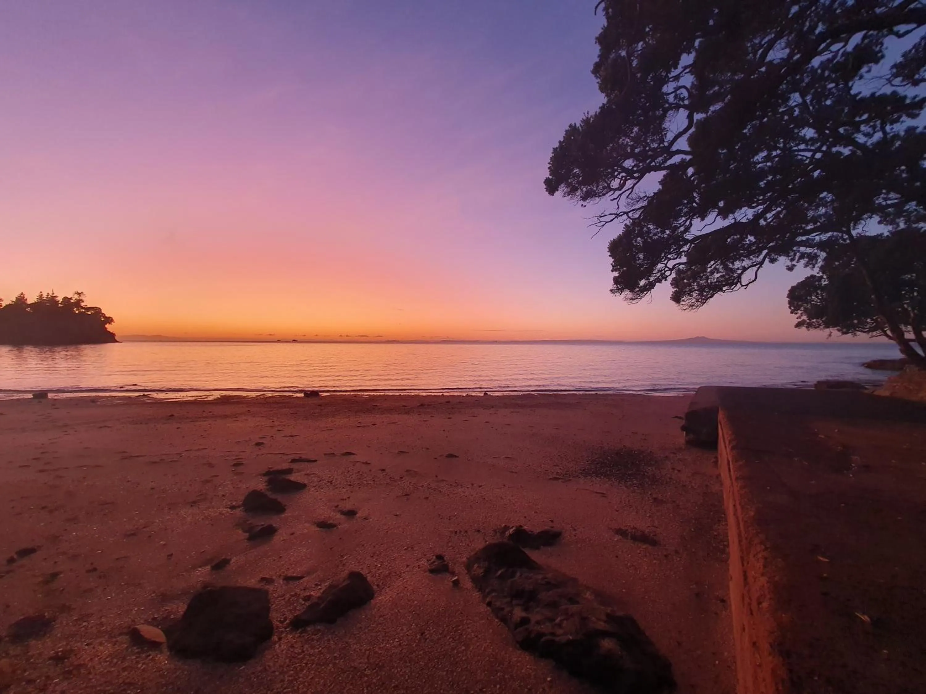 Natural landscape in Whangaparaoa Lodge
