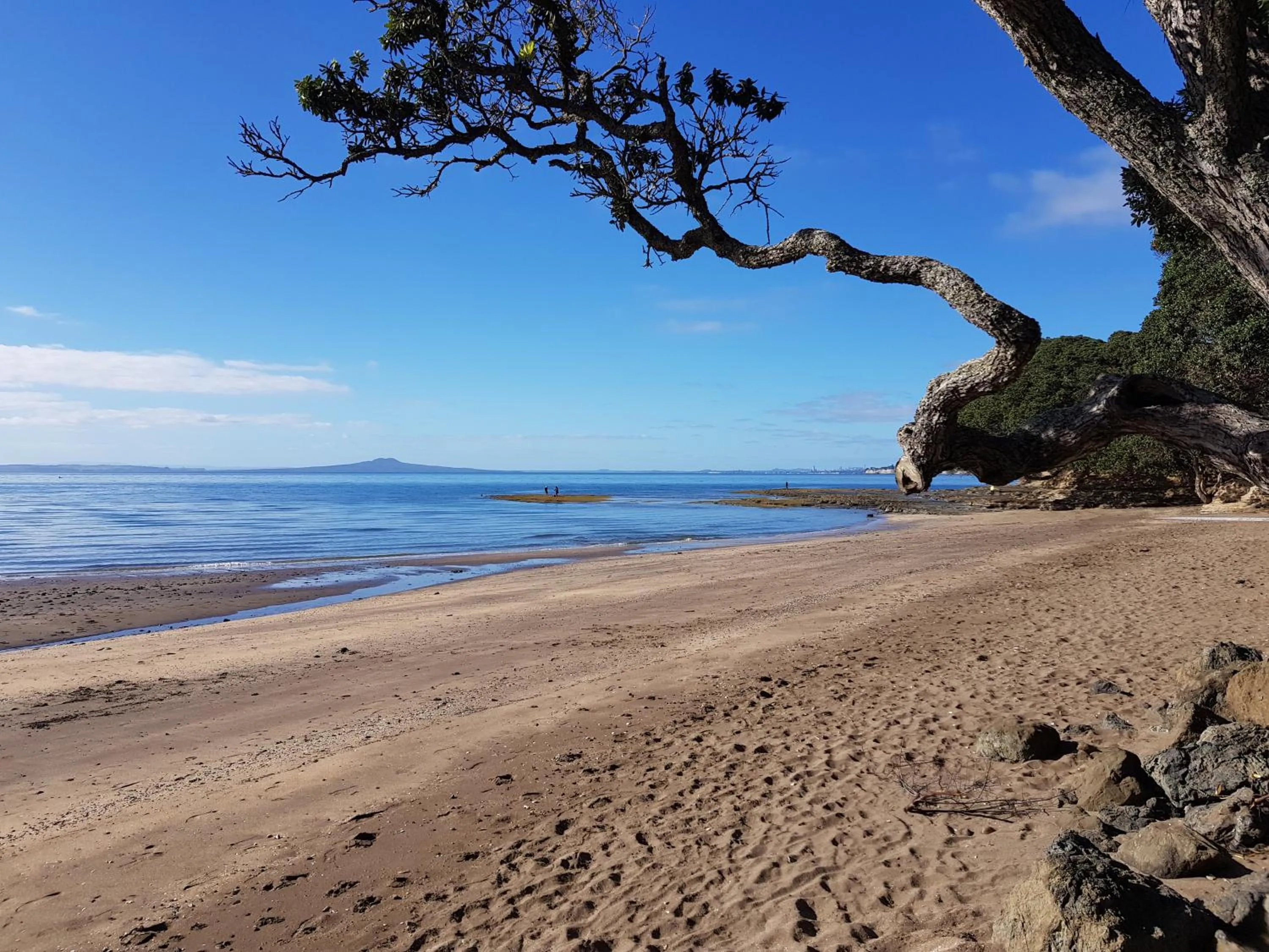 Nearby landmark in Whangaparaoa Lodge