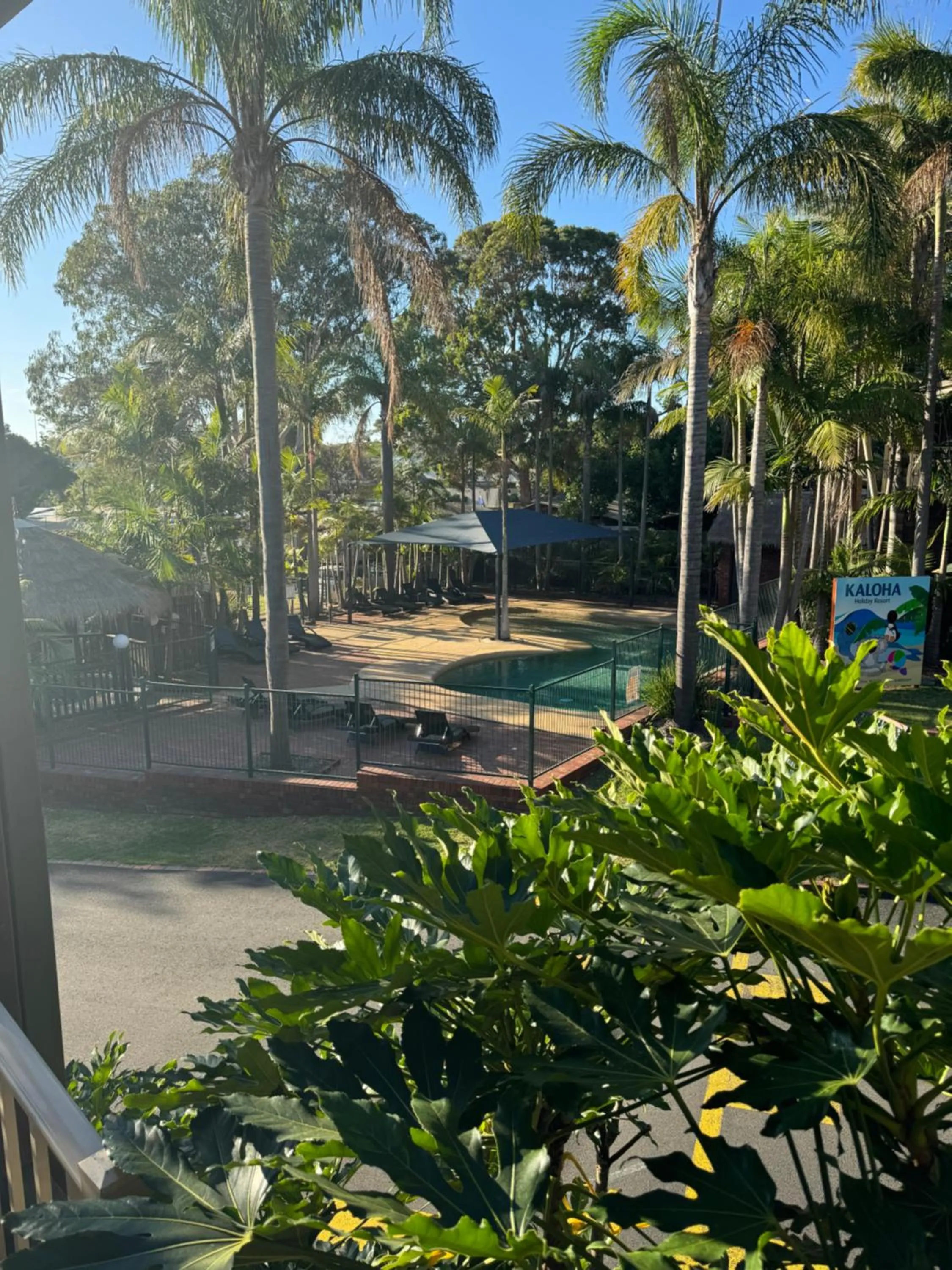 Garden view in Kaloha Holiday Resort Phillip Island