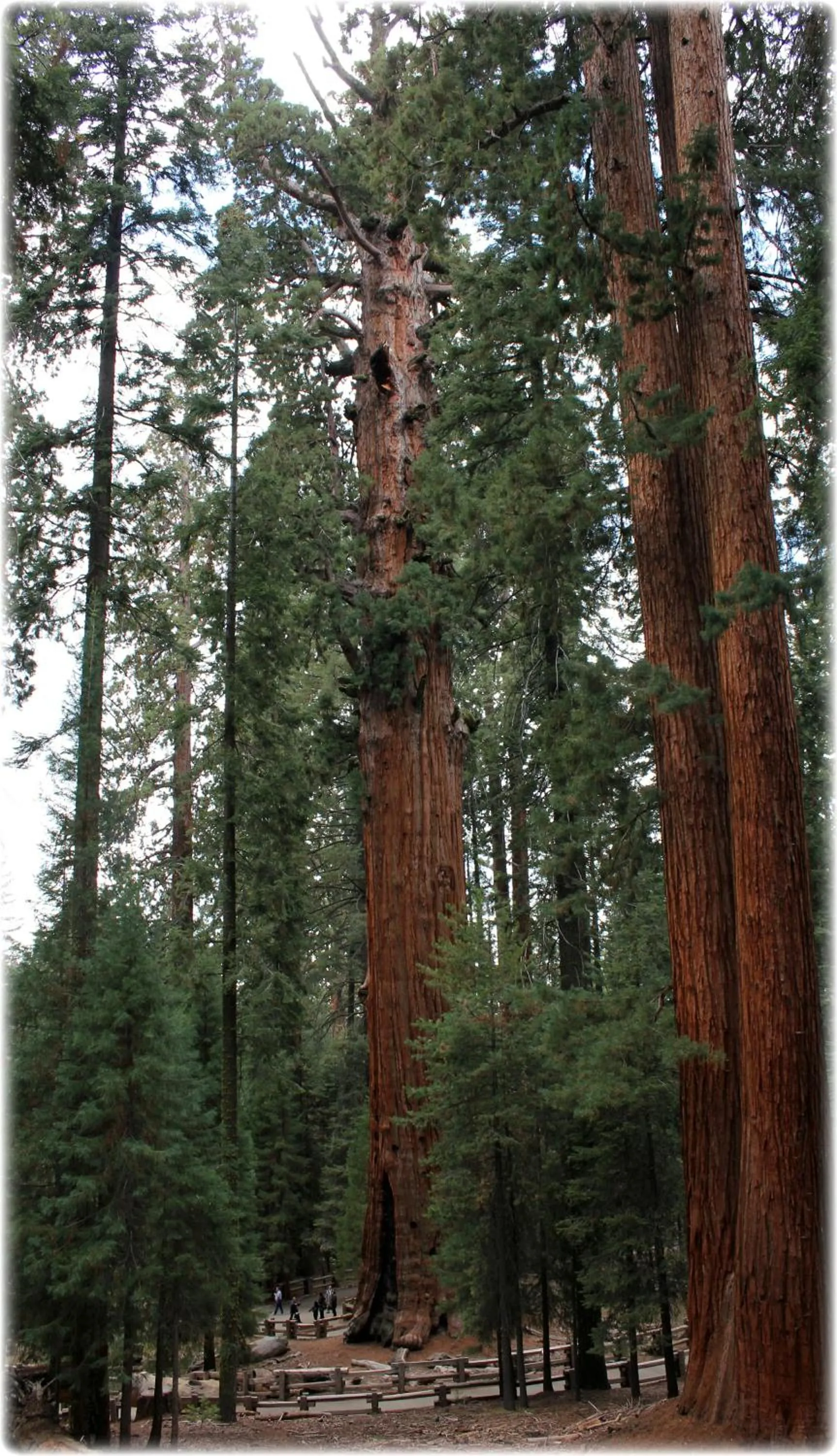 Area and facilities in Garden View Inn