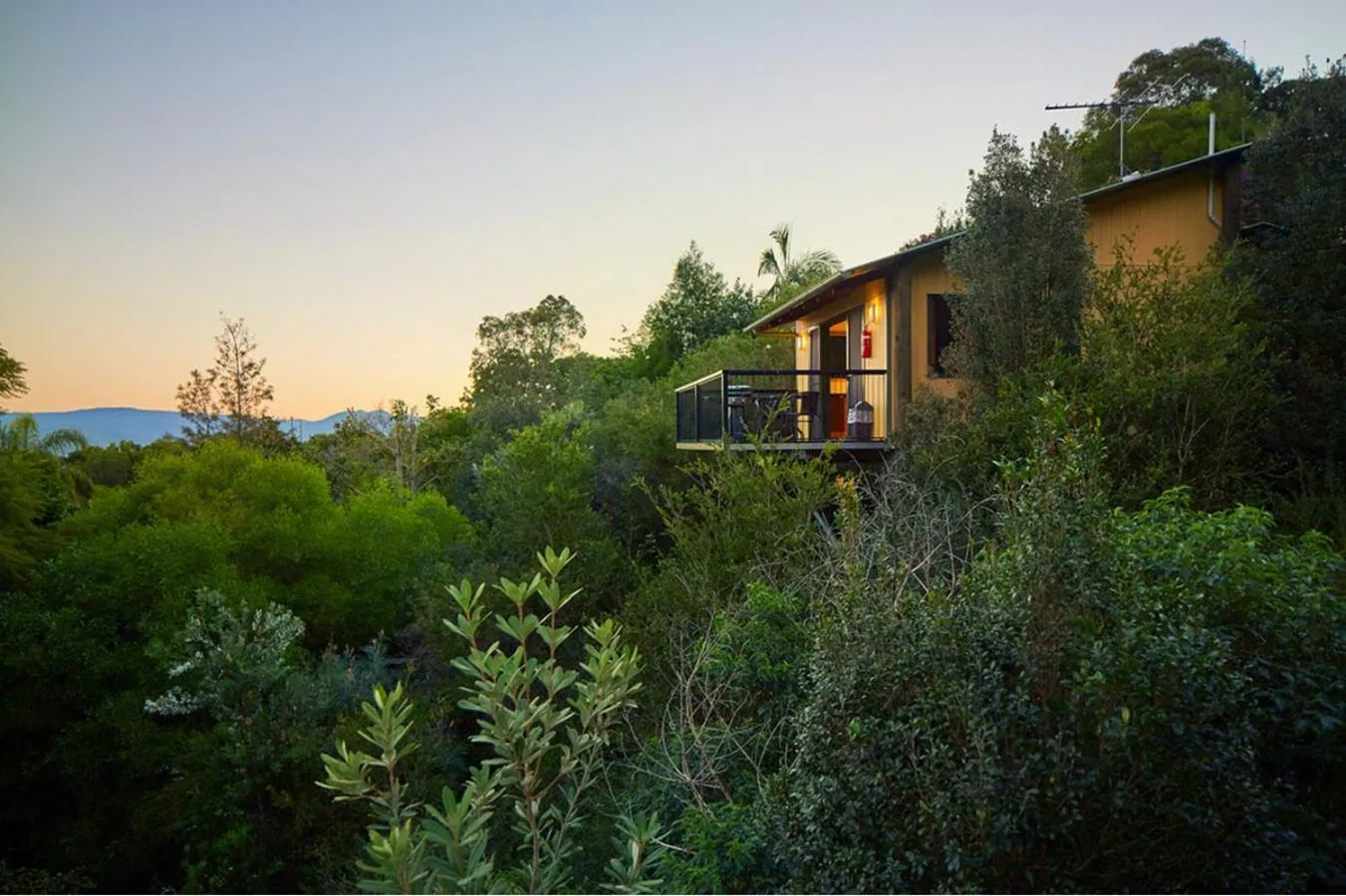 Garden in Dayboro Cottages