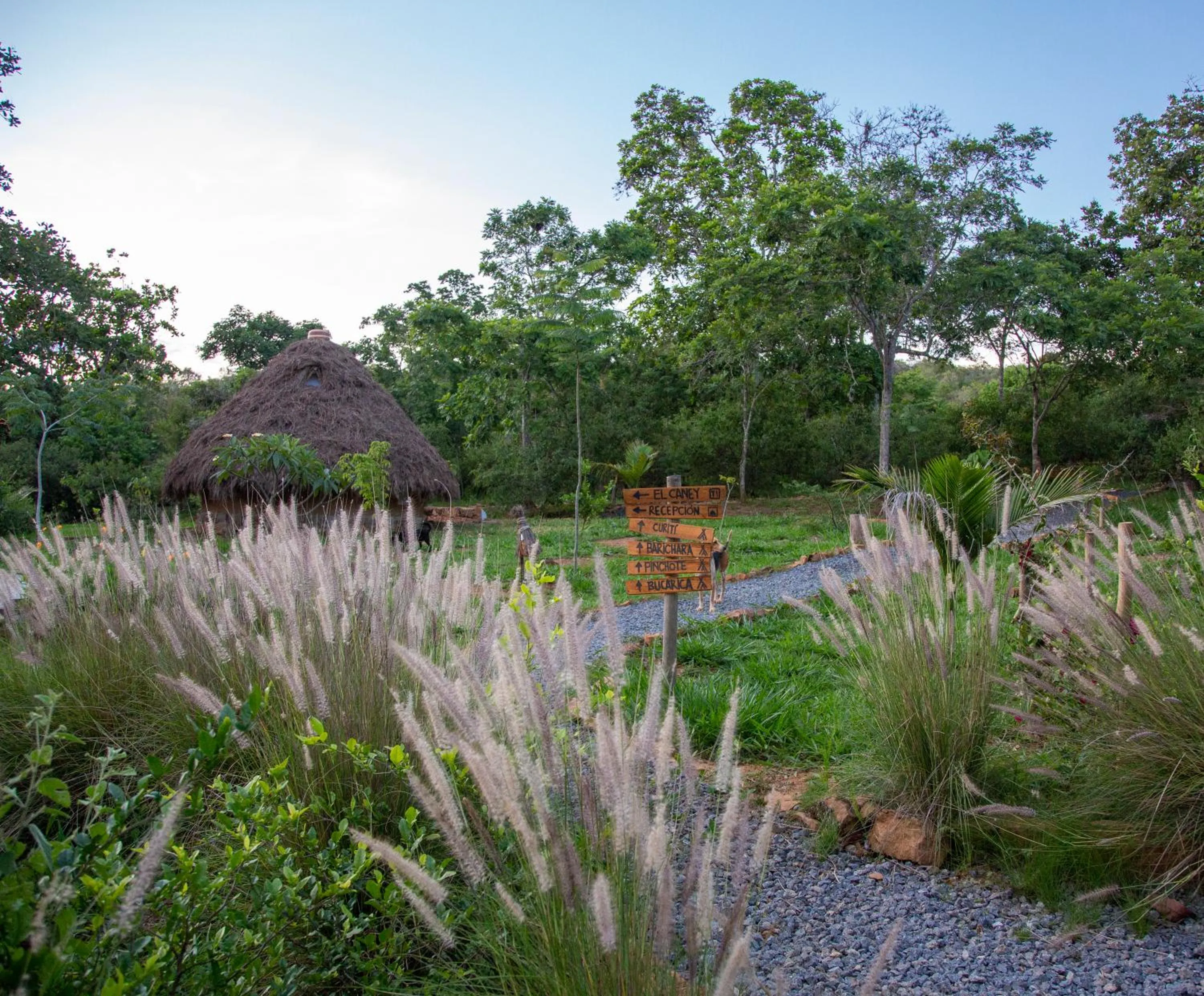 Property building in Nativo Glamping