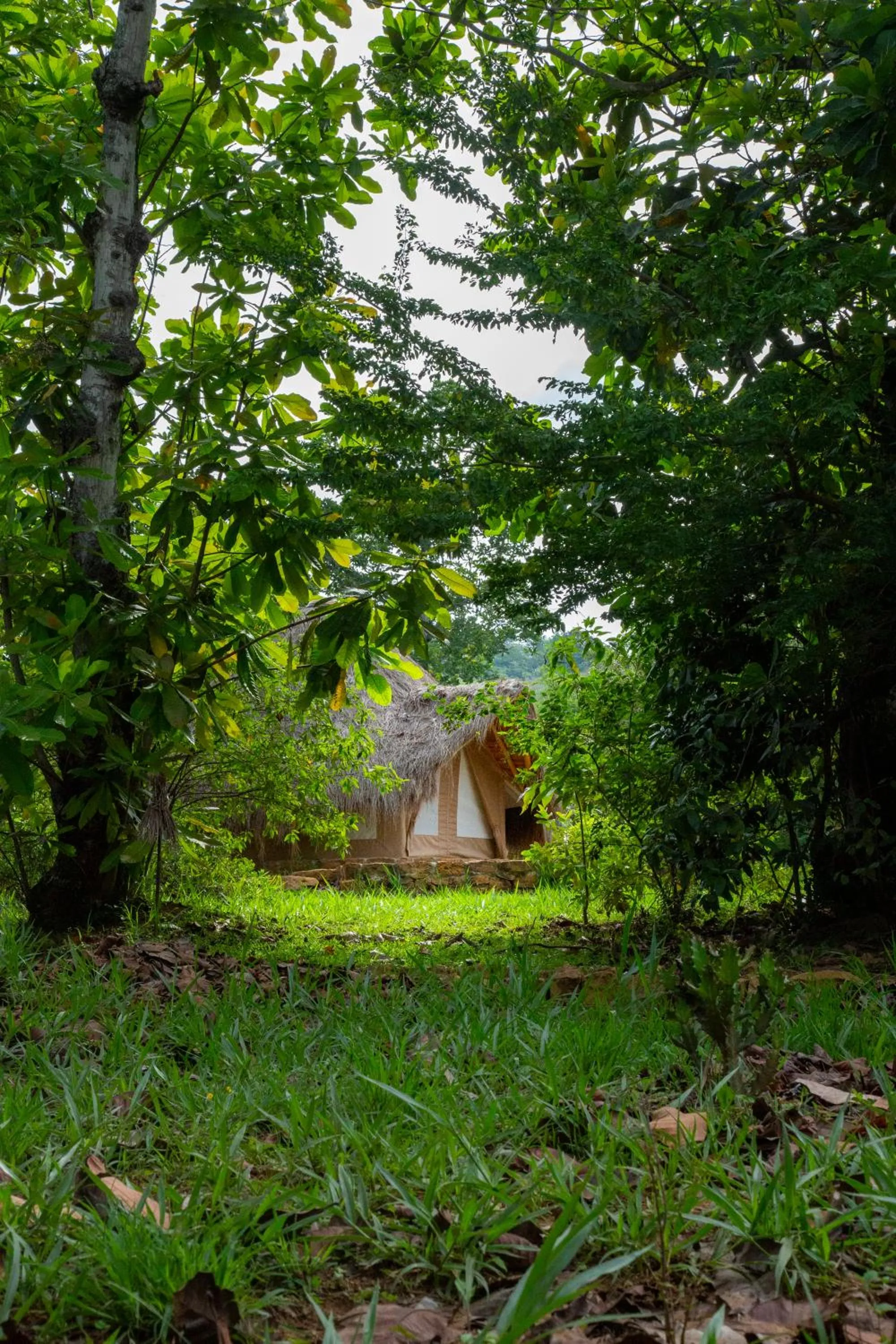 View (from property/room) in Nativo Glamping