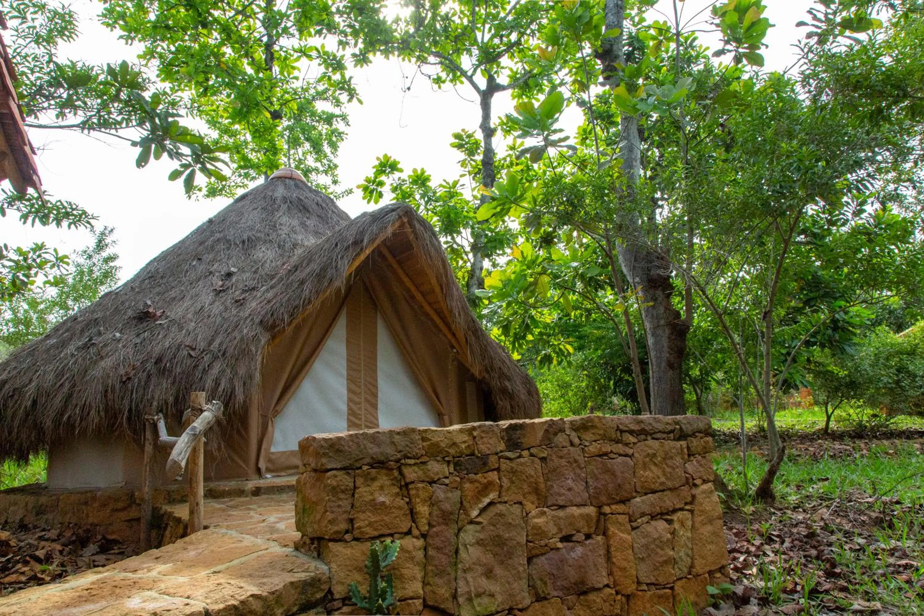 View (from property/room) in Nativo Glamping