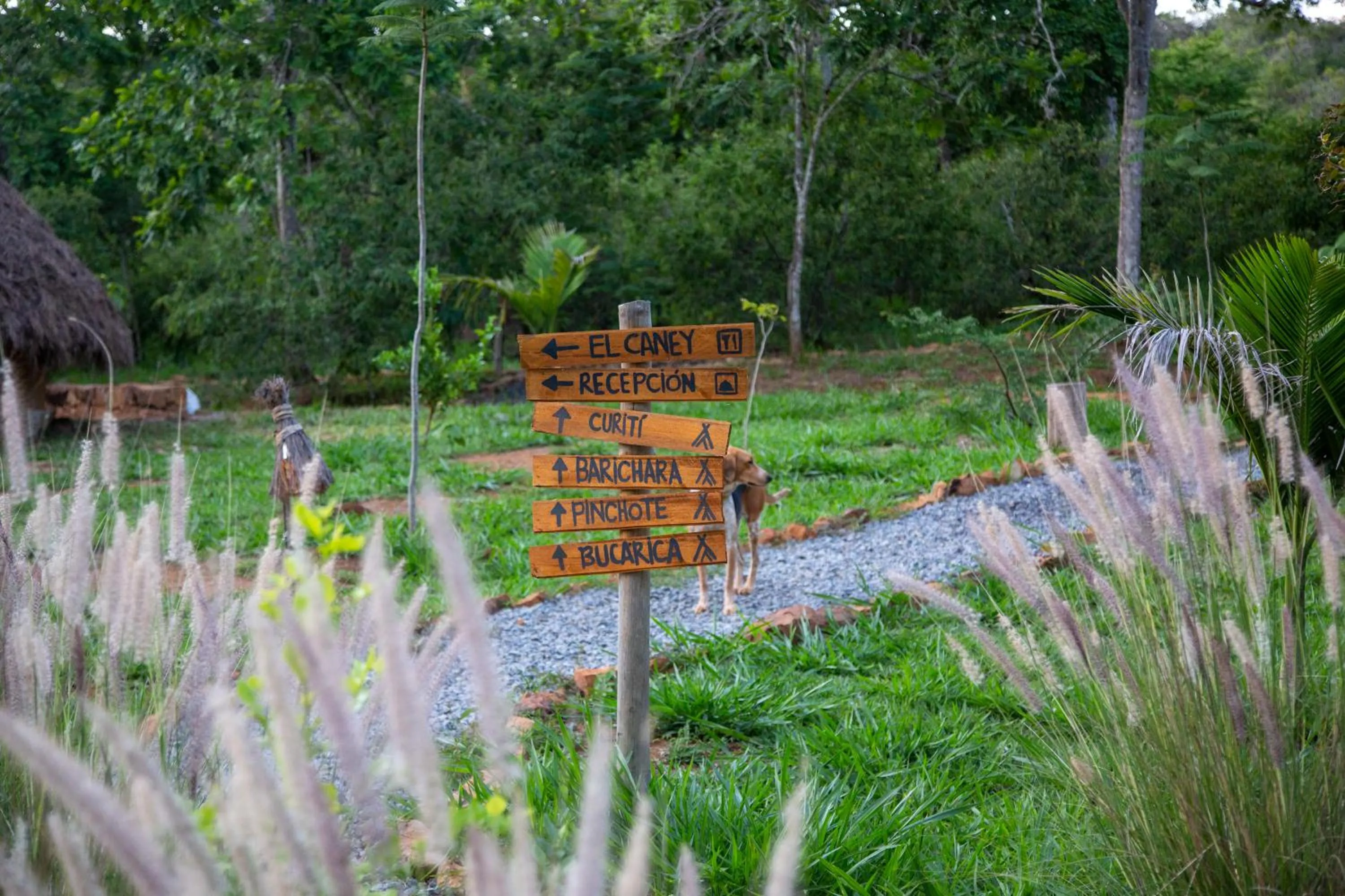 Property building in Nativo Glamping