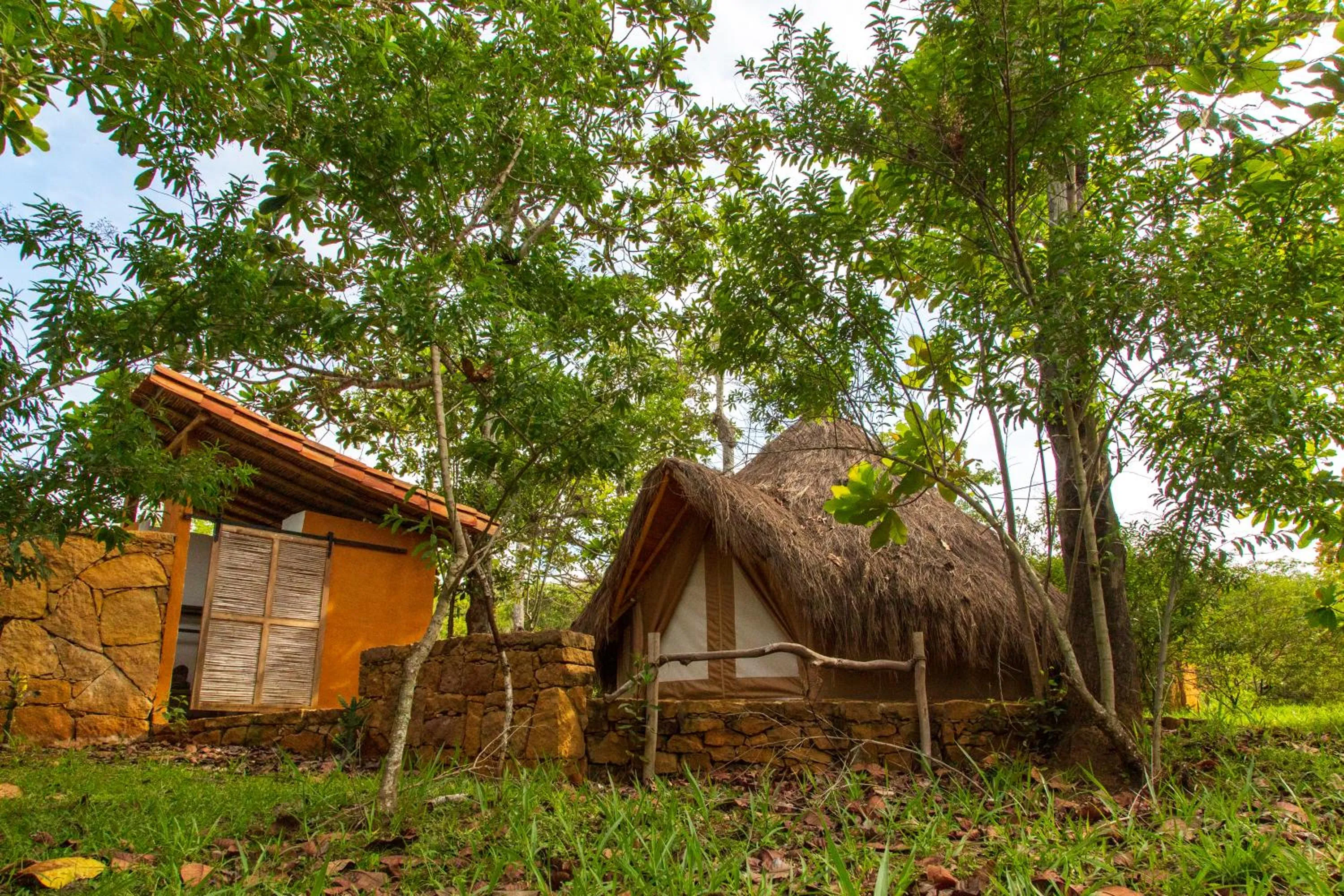 View (from property/room) in Nativo Glamping