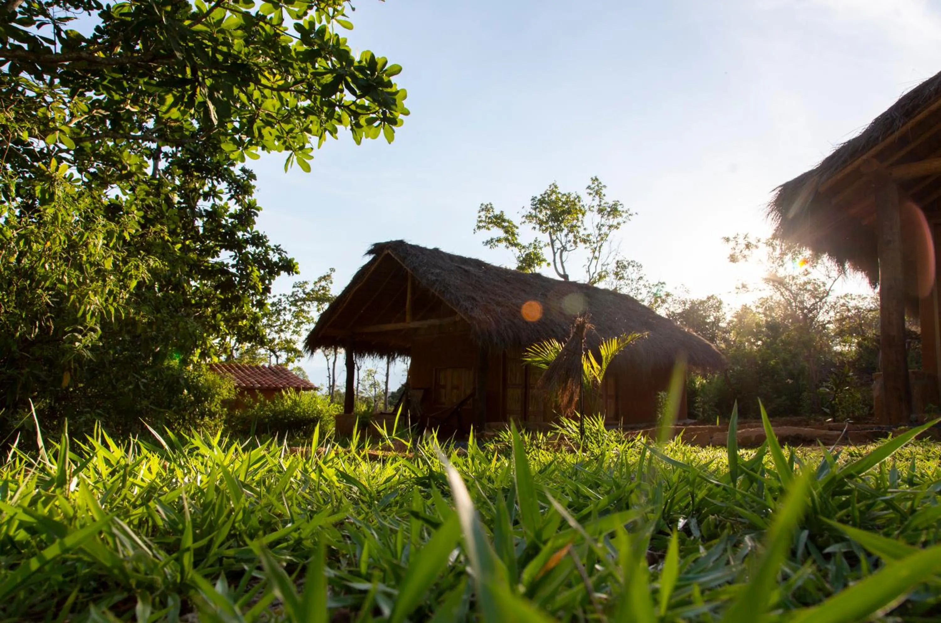 Property building in Nativo Glamping