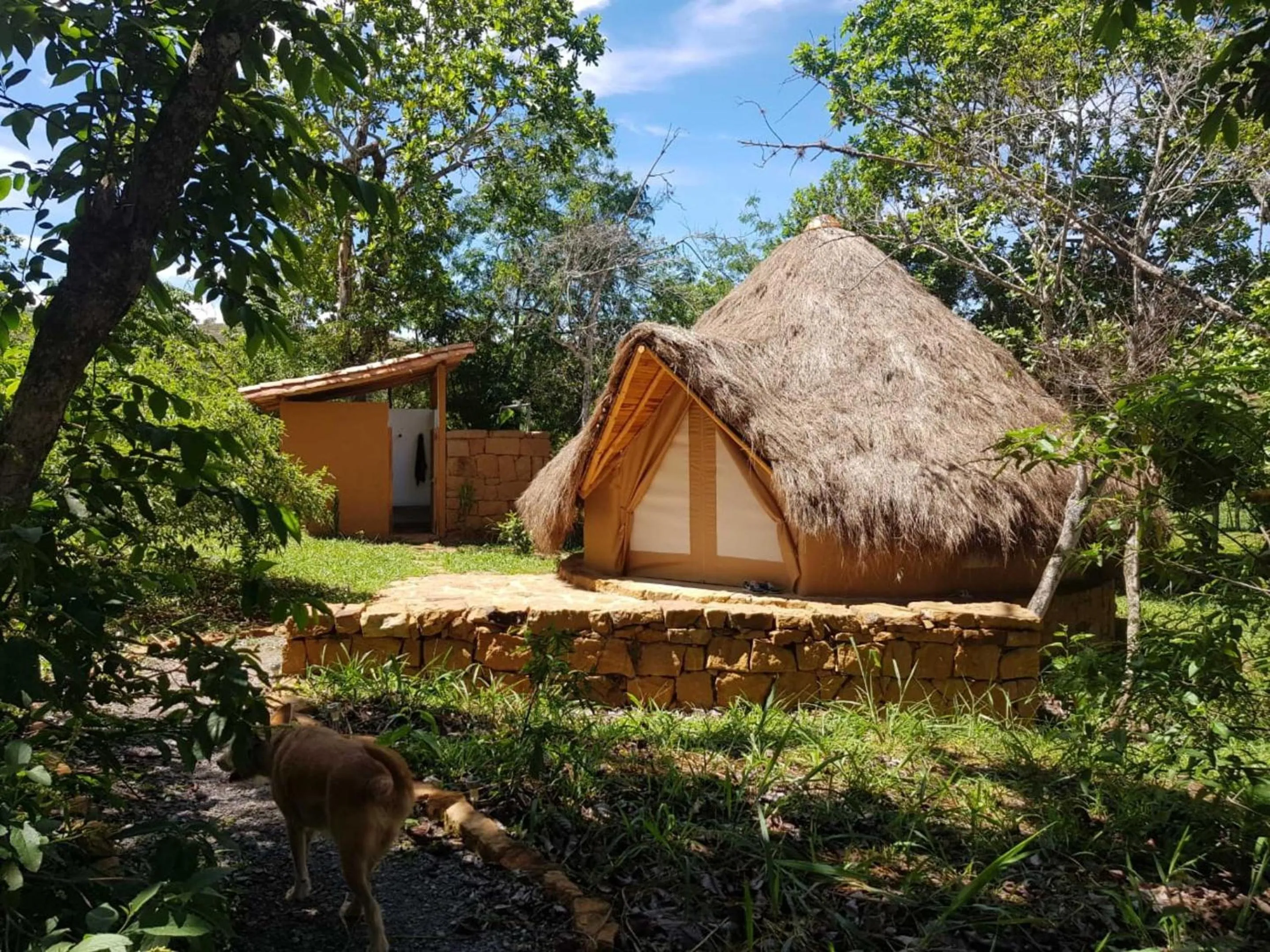 Photo of the whole room in Nativo Glamping
