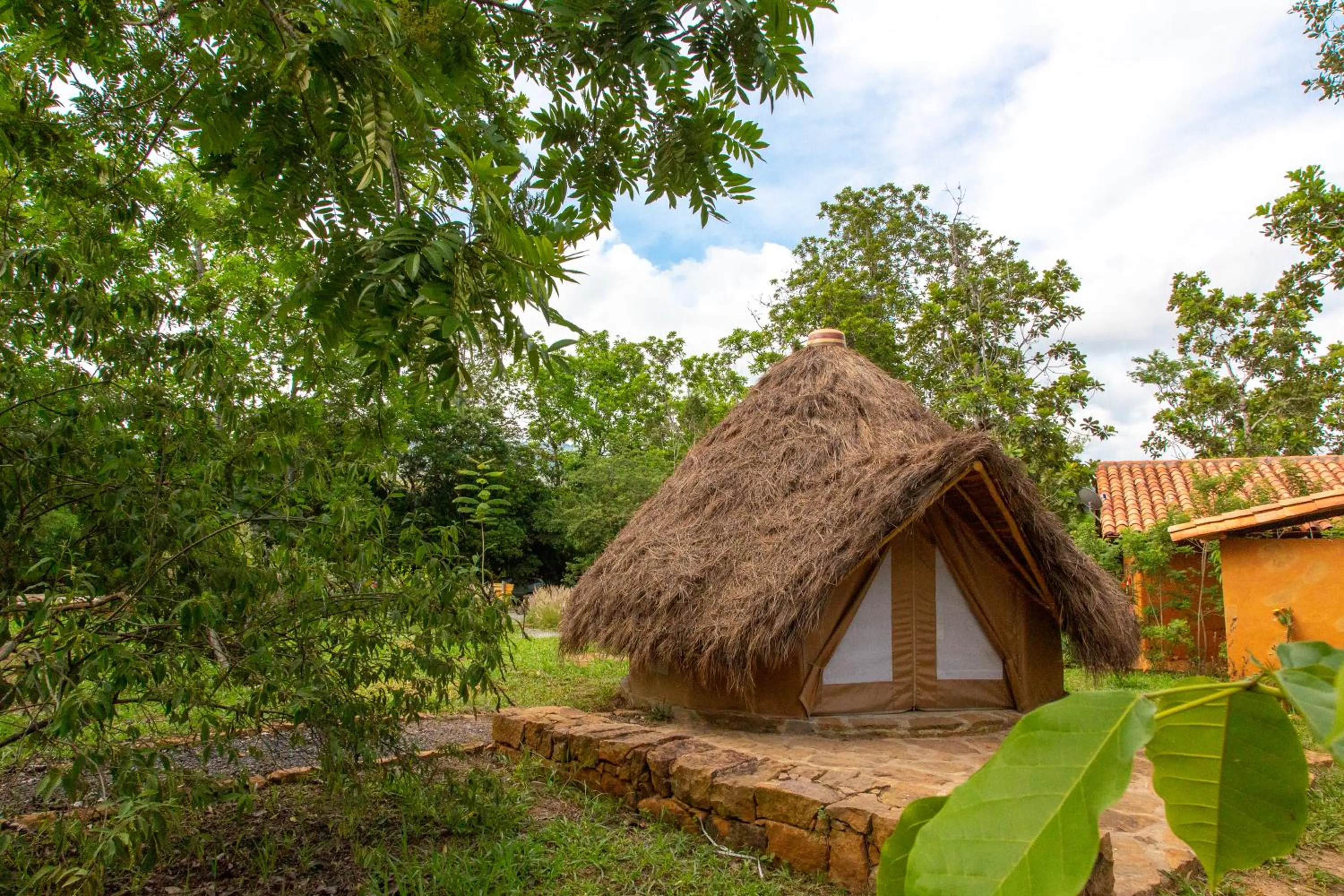 View (from property/room) in Nativo Glamping