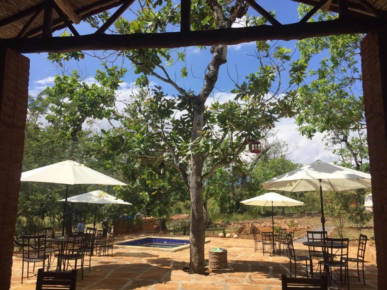 Restaurant/places to eat in Nativo Glamping