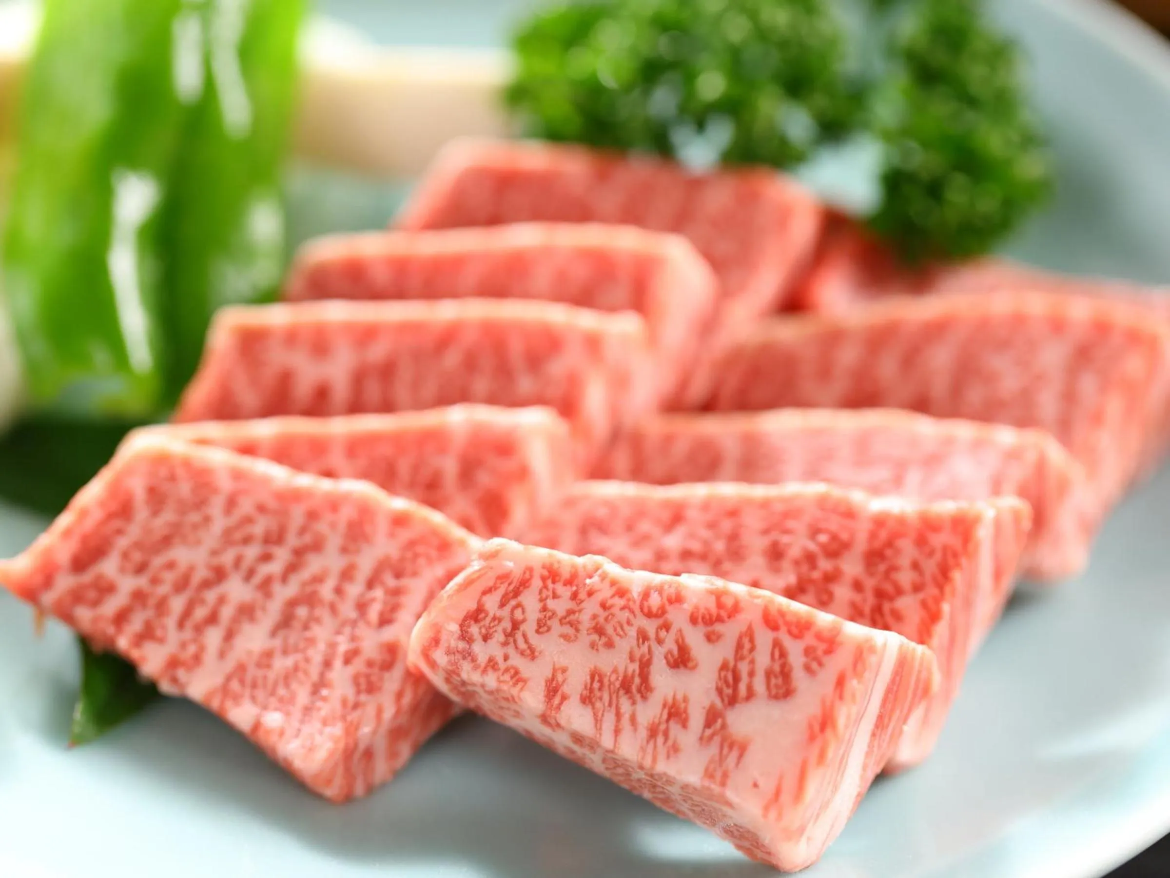 Food close-up in Shoji Mount Hotel