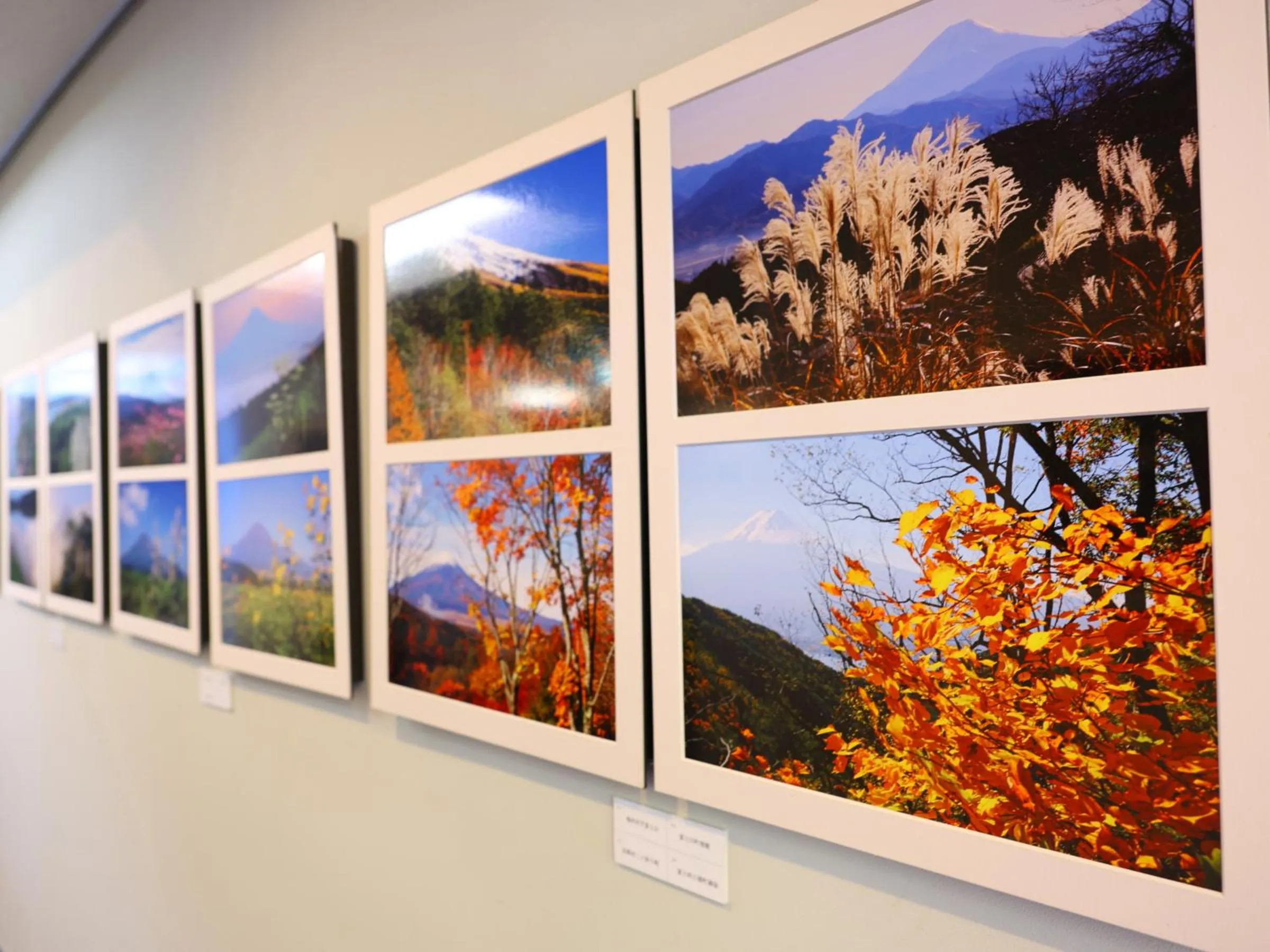 Area and facilities in Shoji Mount Hotel