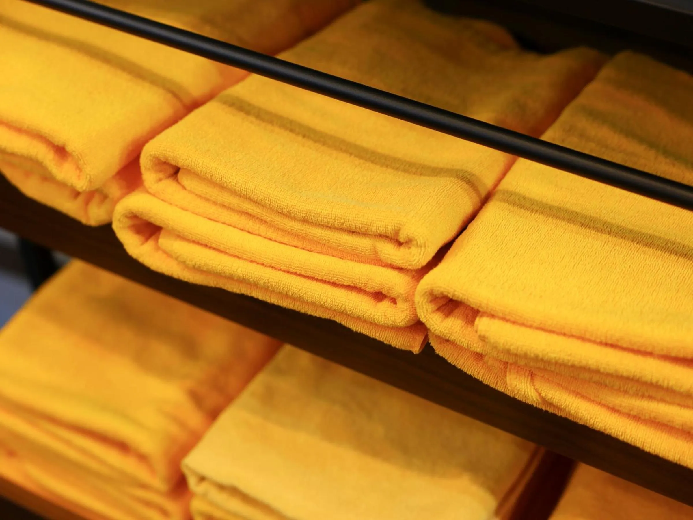 Public Bath in Shoji Mount Hotel