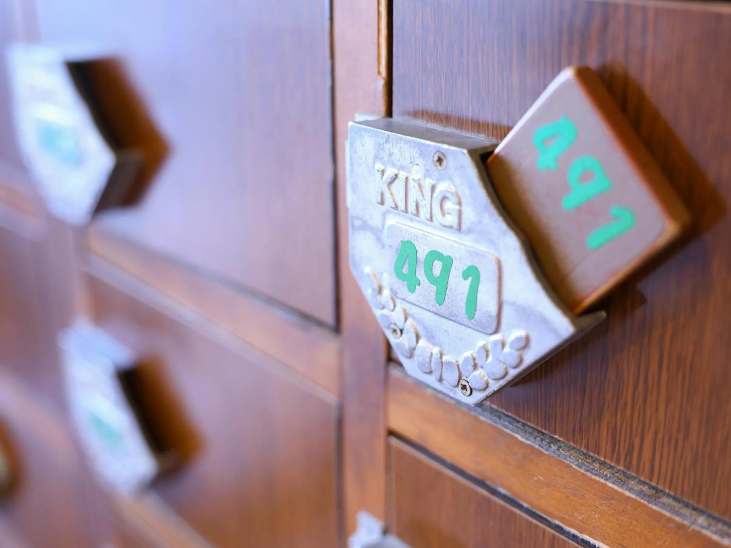 Area and facilities in Shoji Mount Hotel