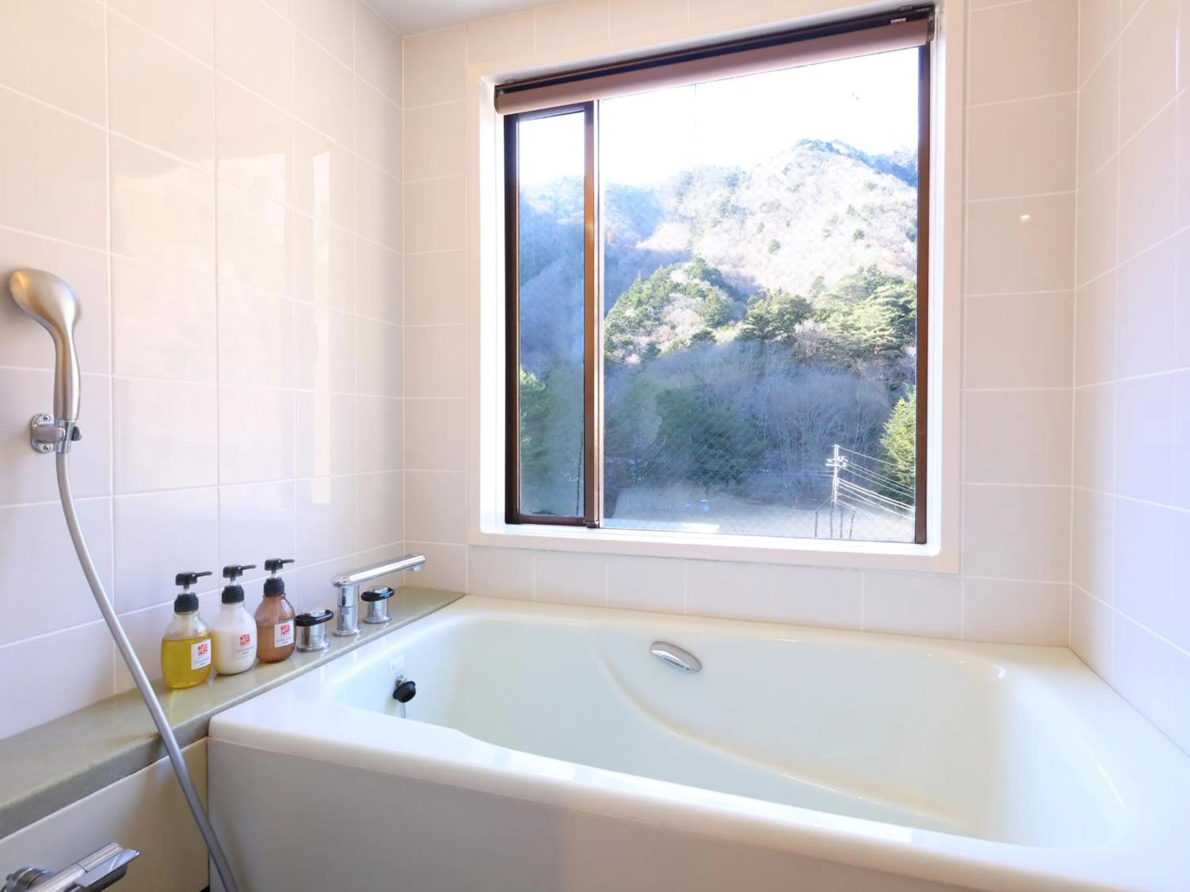 Photo of the whole room in Shoji Mount Hotel