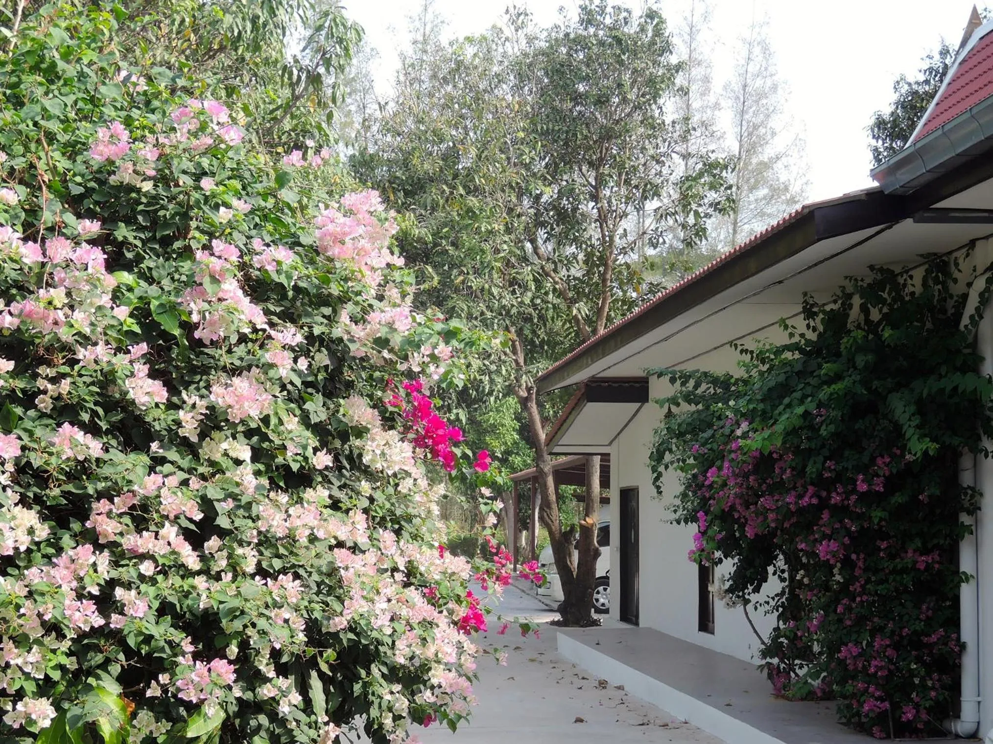 Garden in Mango Spa & Resort