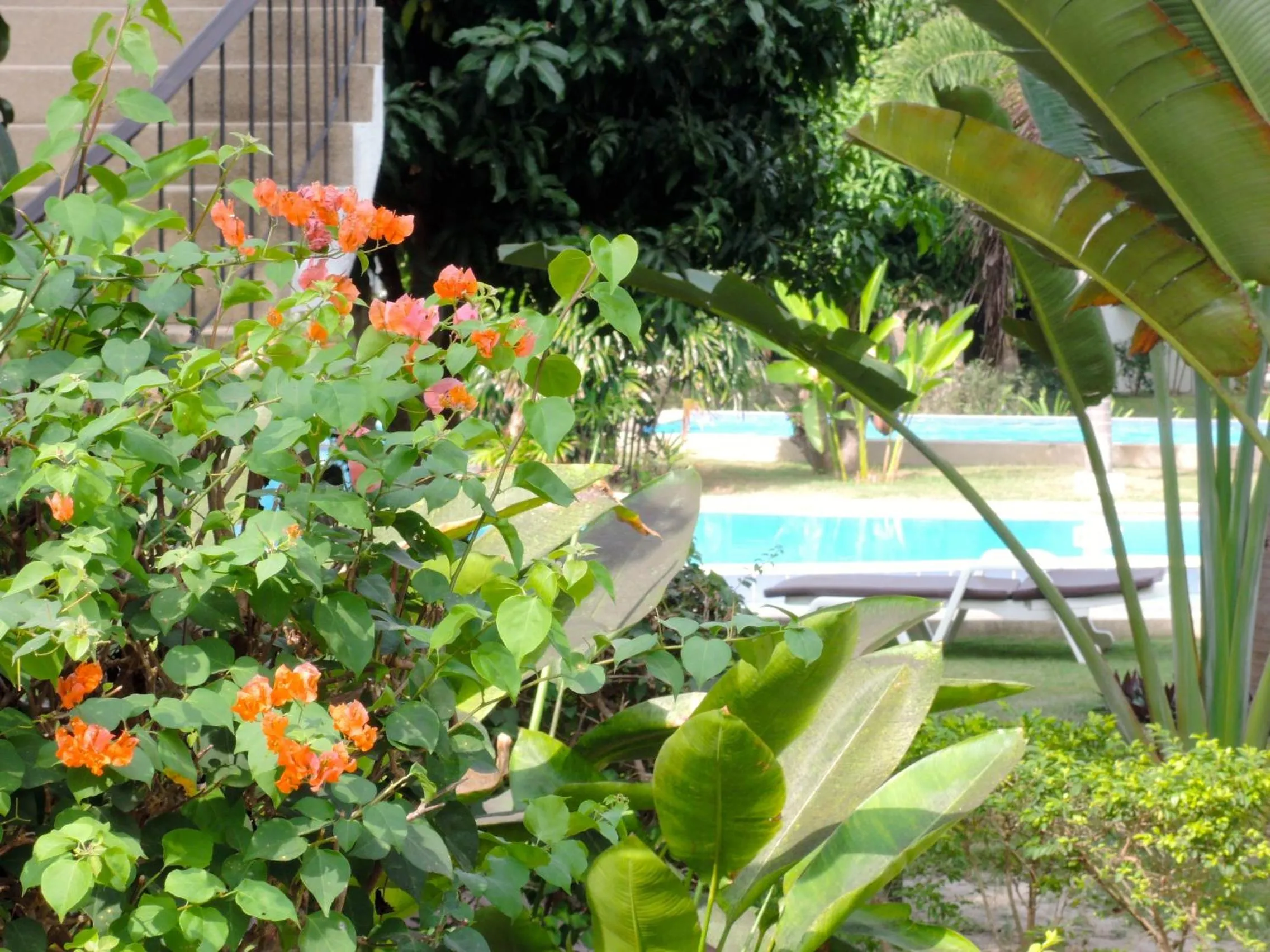 Garden in Mango Spa & Resort