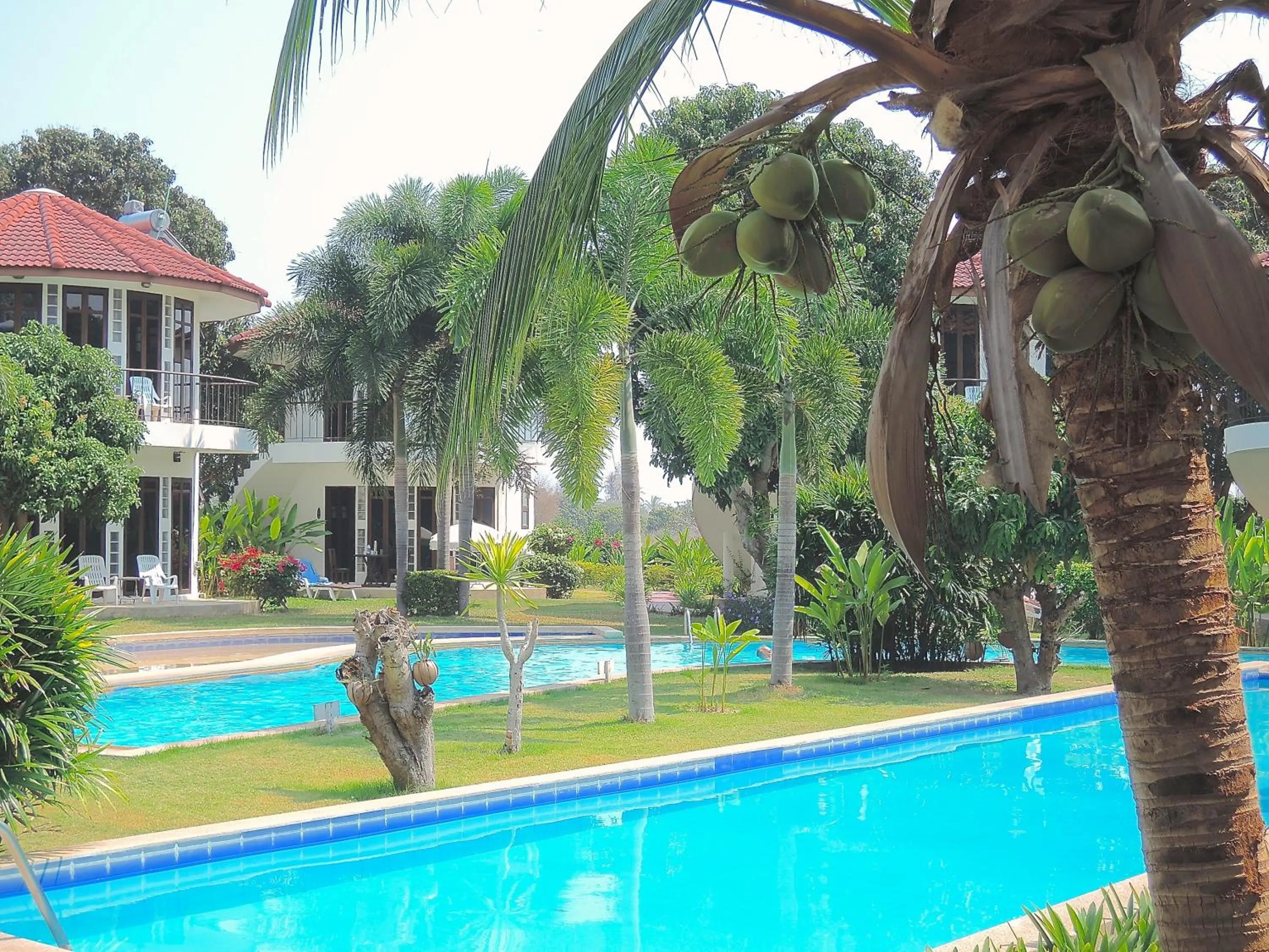 Pool view in Mango Spa & Resort
