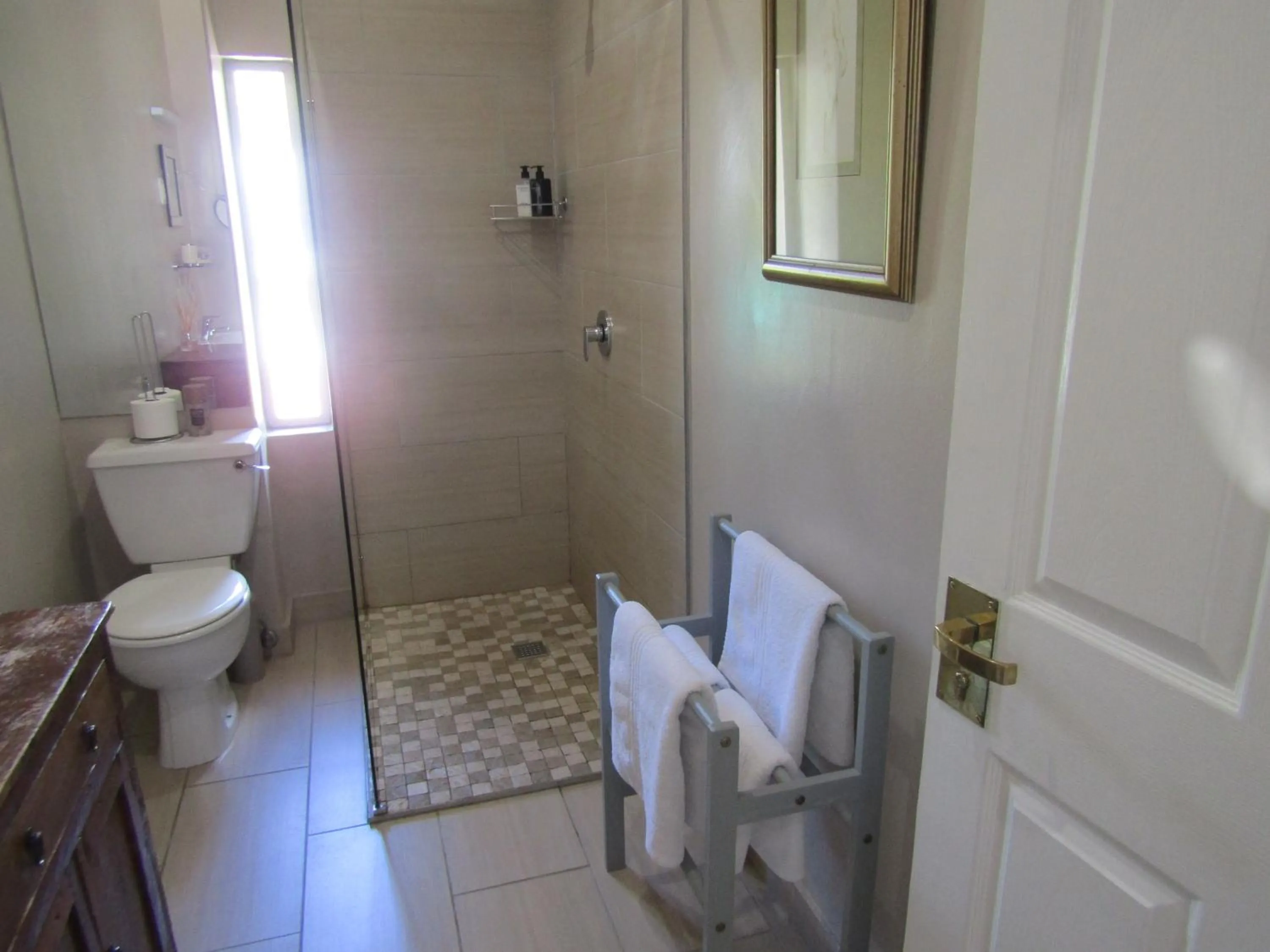 Shower in Rosedene Guest House