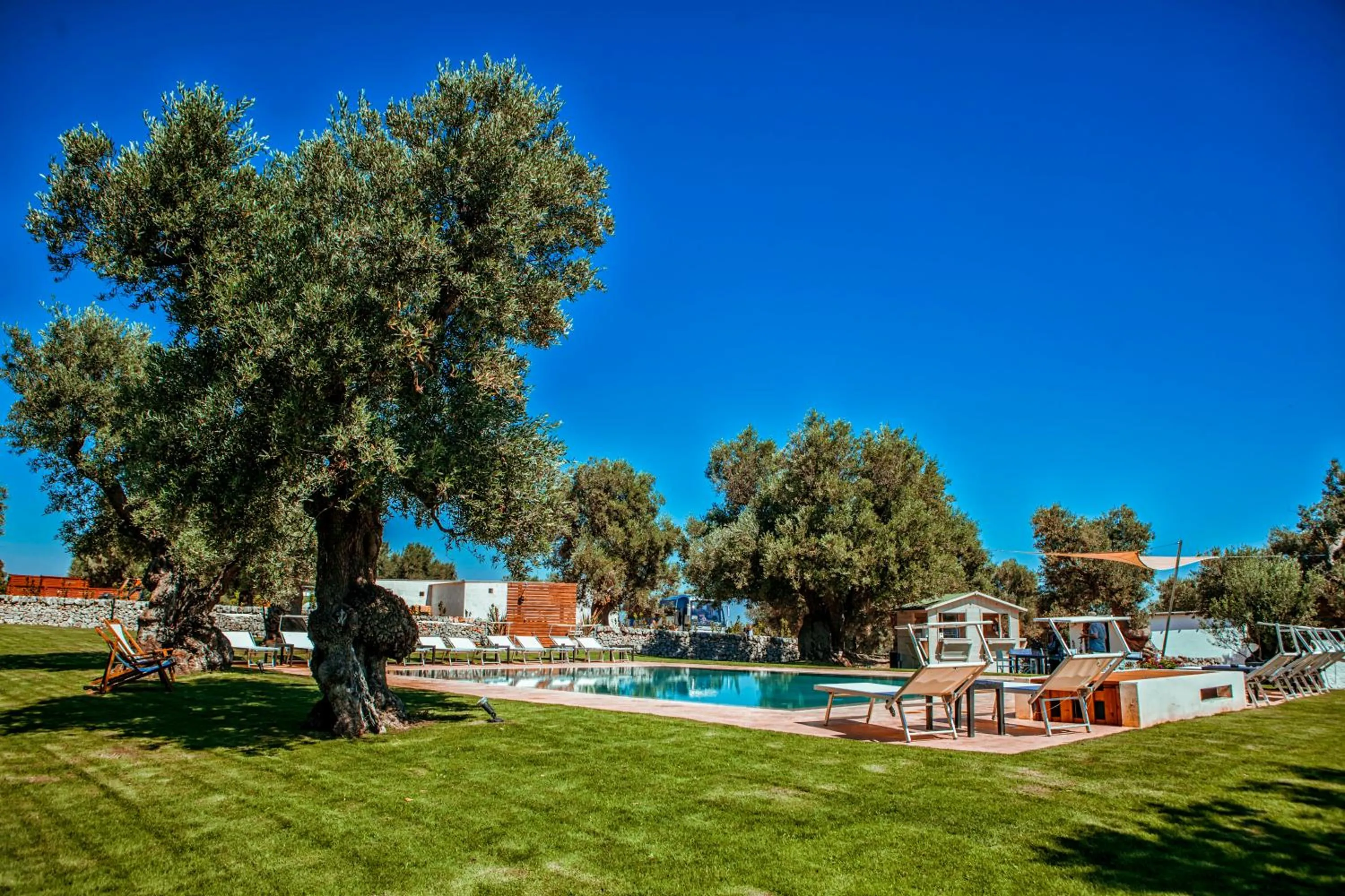 Swimming pool in Masseria Il Frantoio