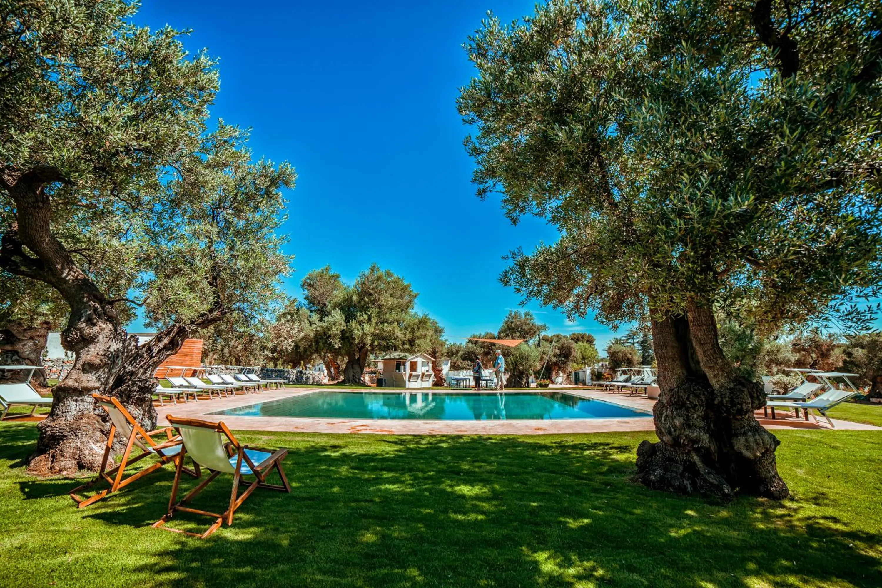 Swimming pool in Masseria Il Frantoio
