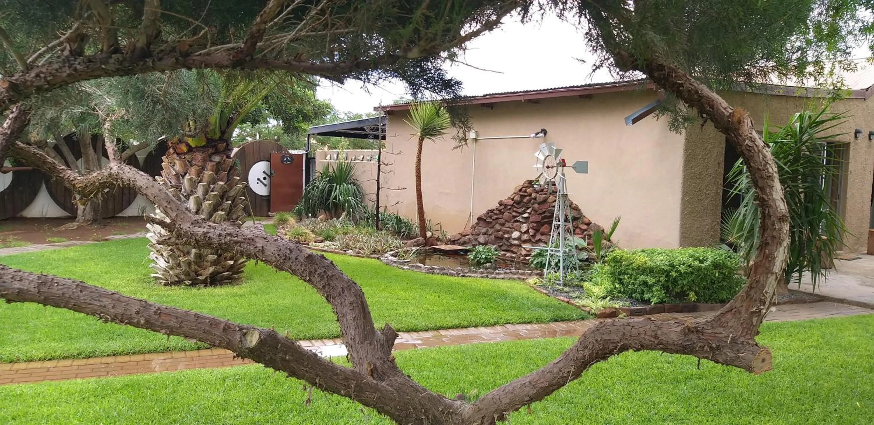 Garden view in Potties Guesthouse
