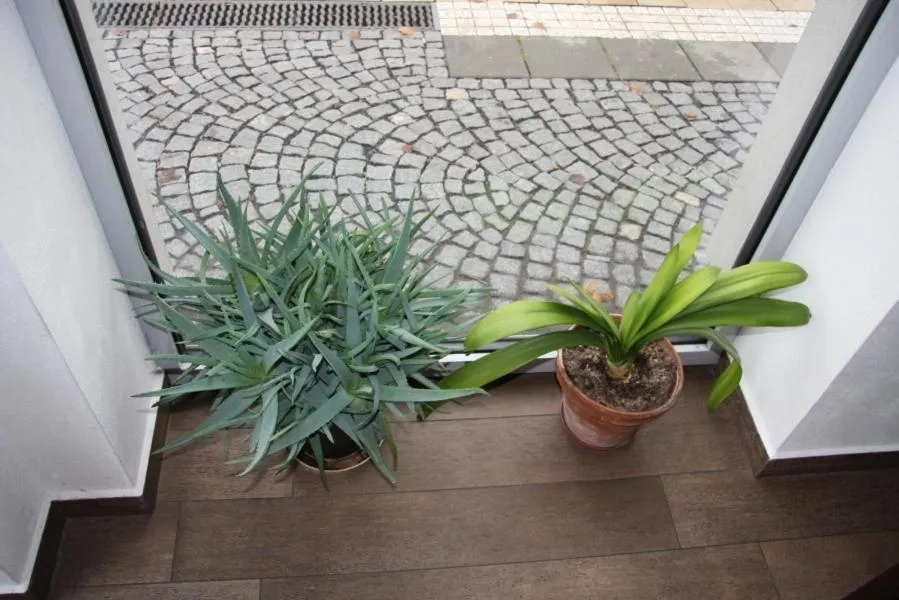 Decorative detail in Art Hotel Podebrady