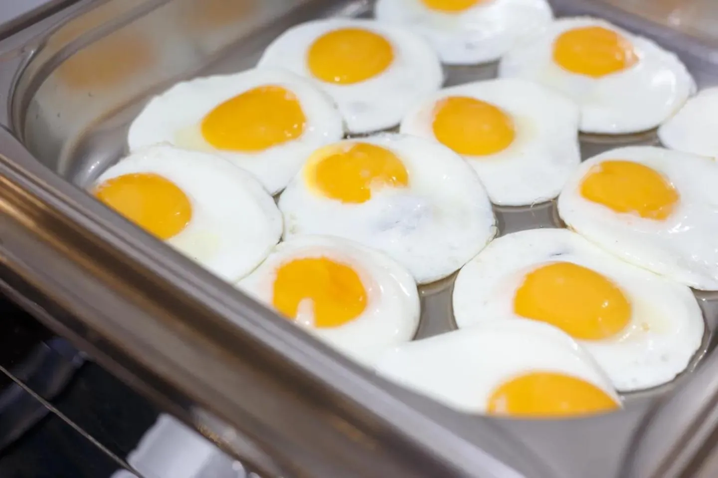 Restaurant/places to eat in Nadiya Hotel