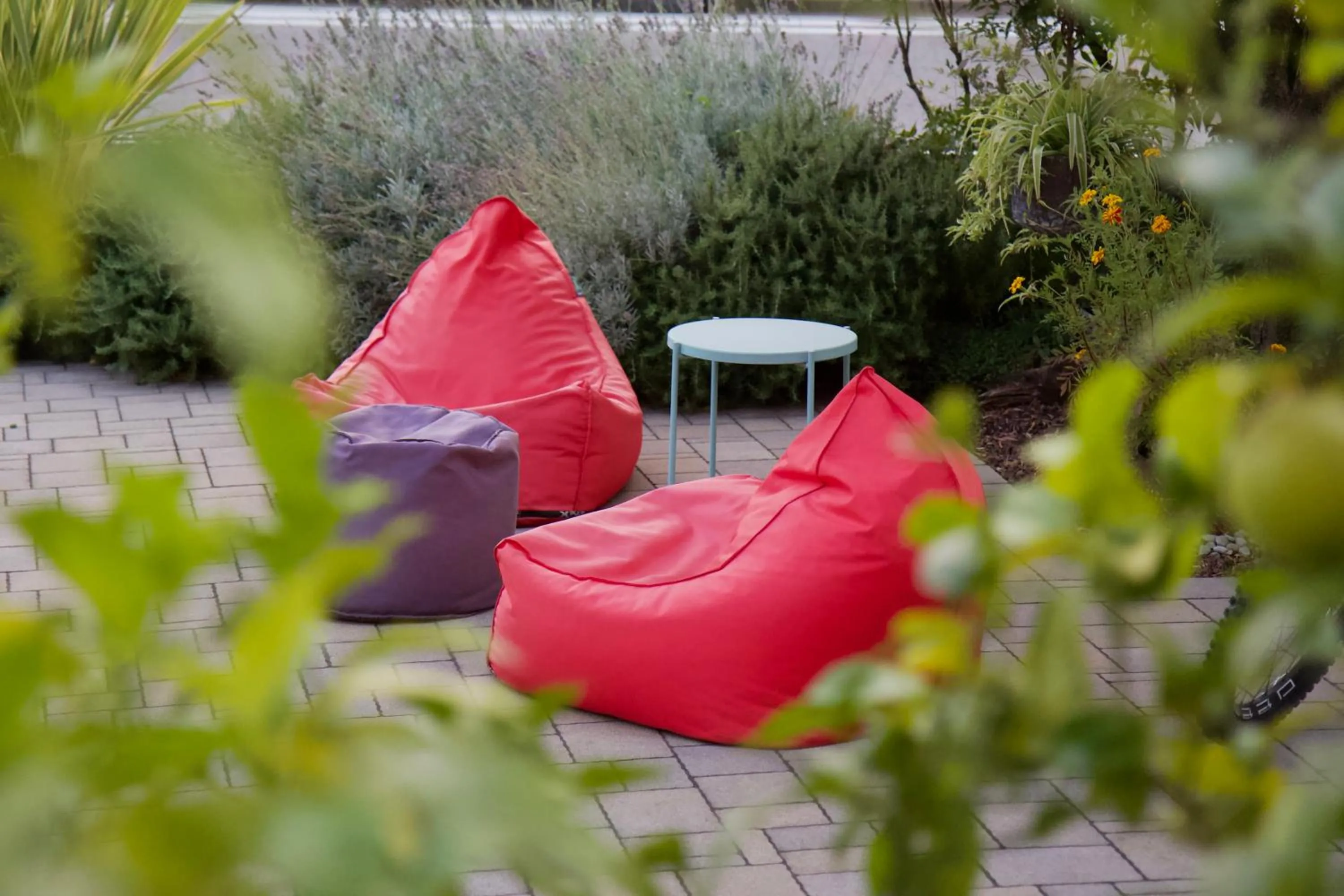 Garden in Hotel Villa Clara