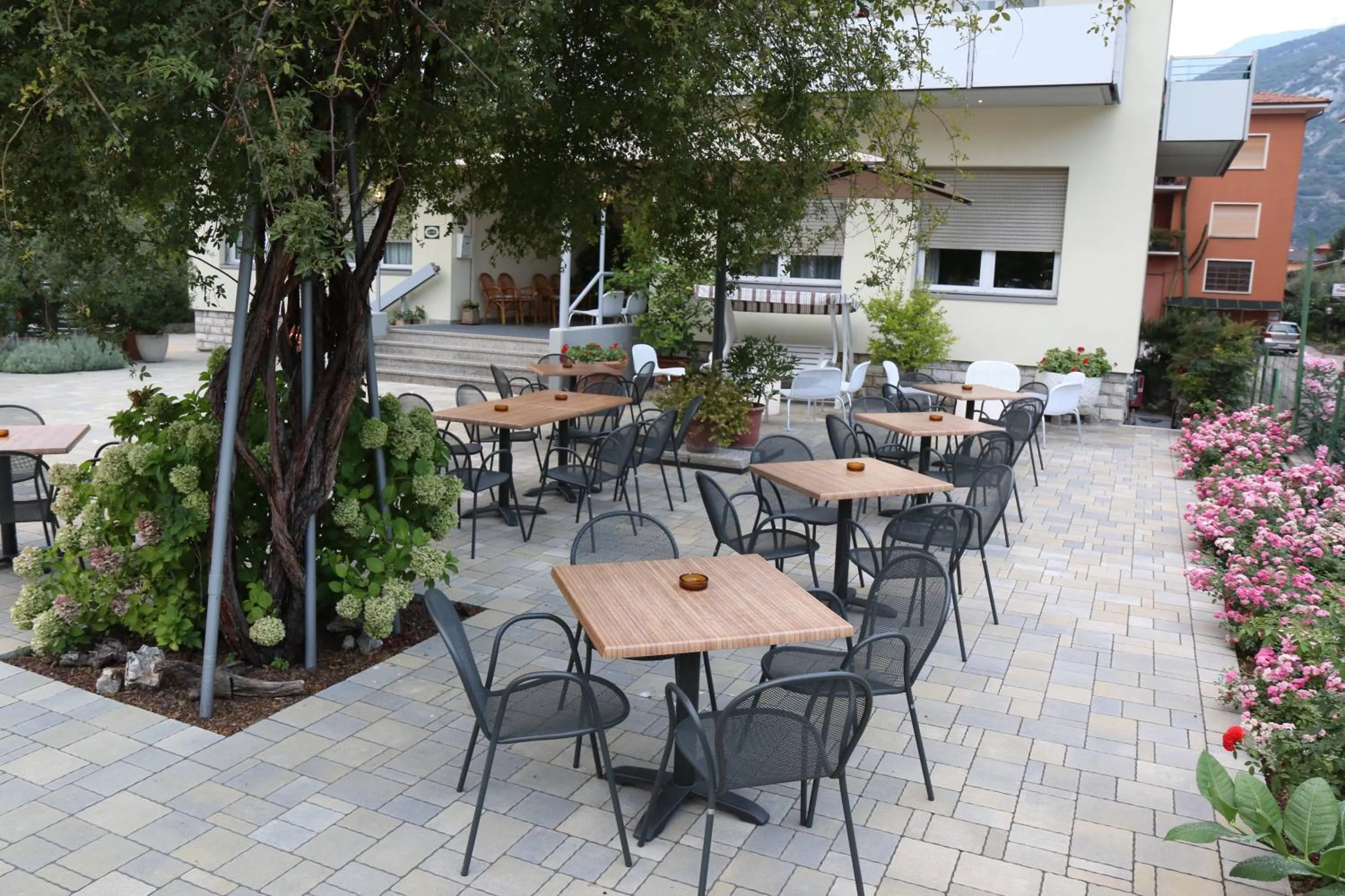 Garden in Hotel Villa Clara