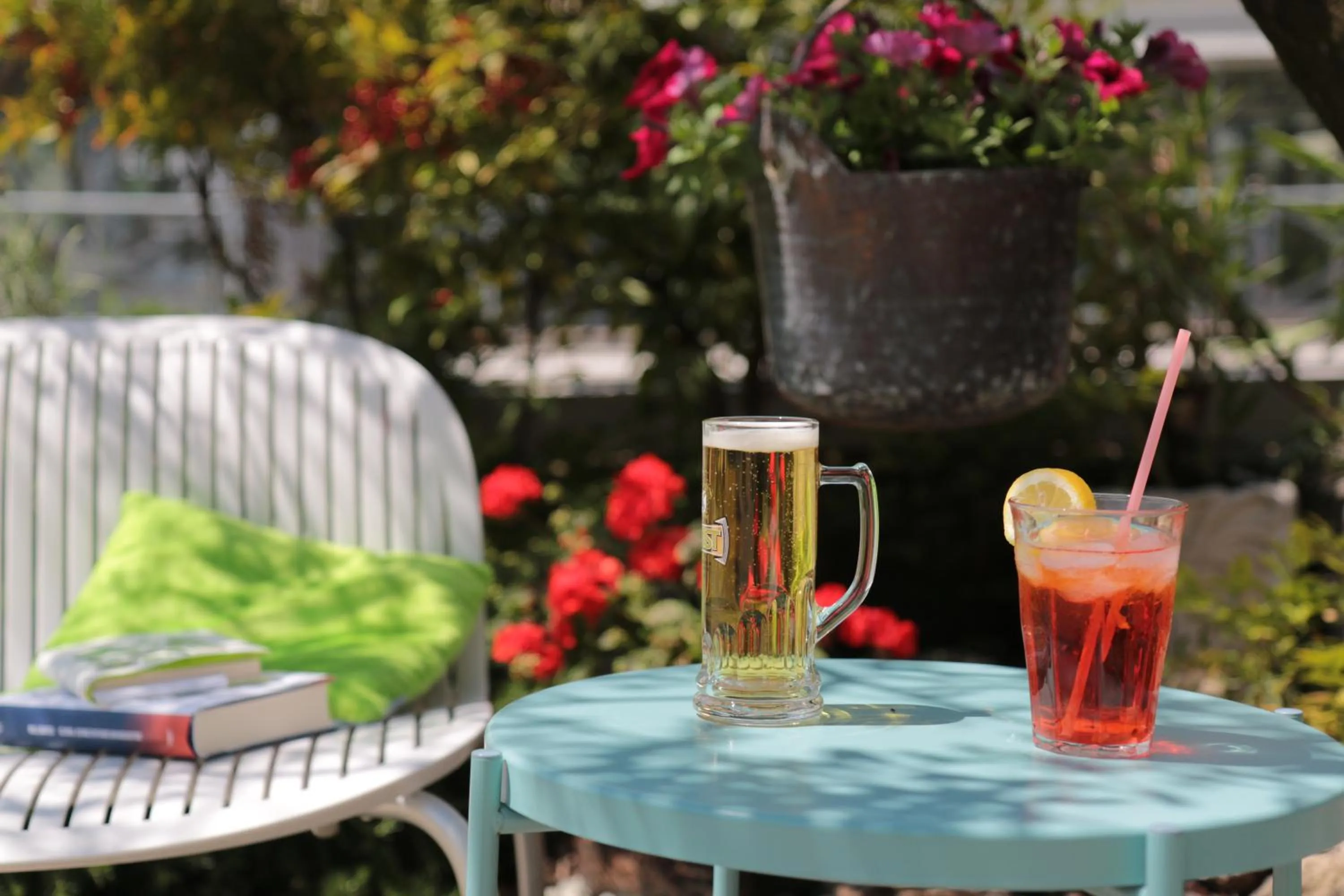 Garden in Hotel Villa Clara
