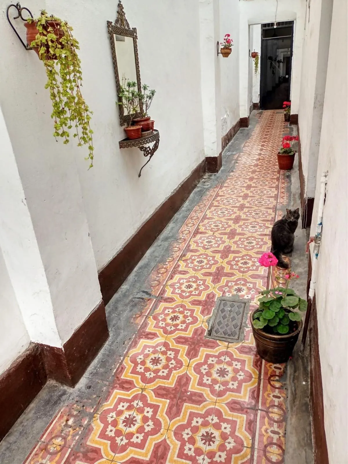 Property building in Samanai Wasi