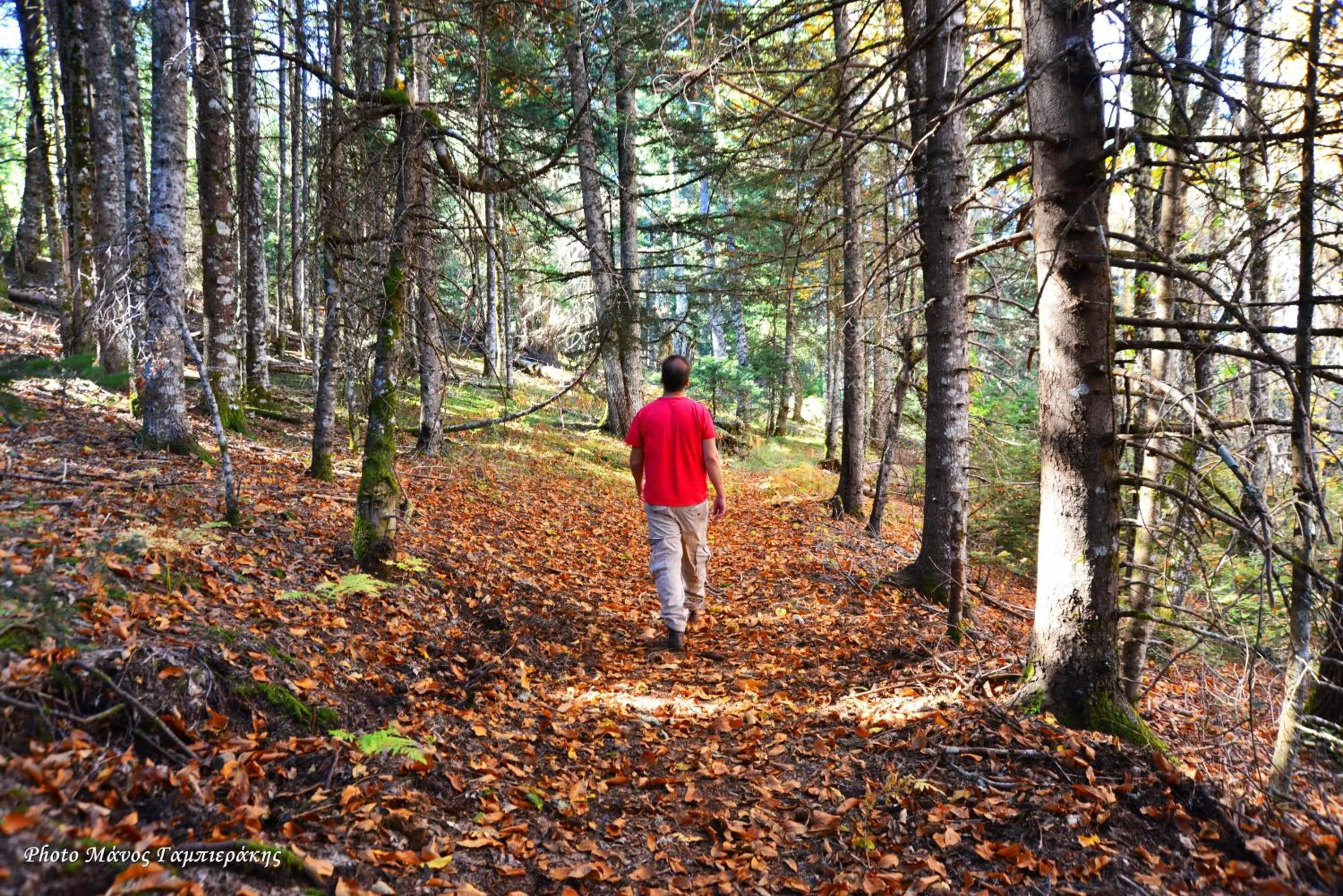 Hiking in Ta Petrina
