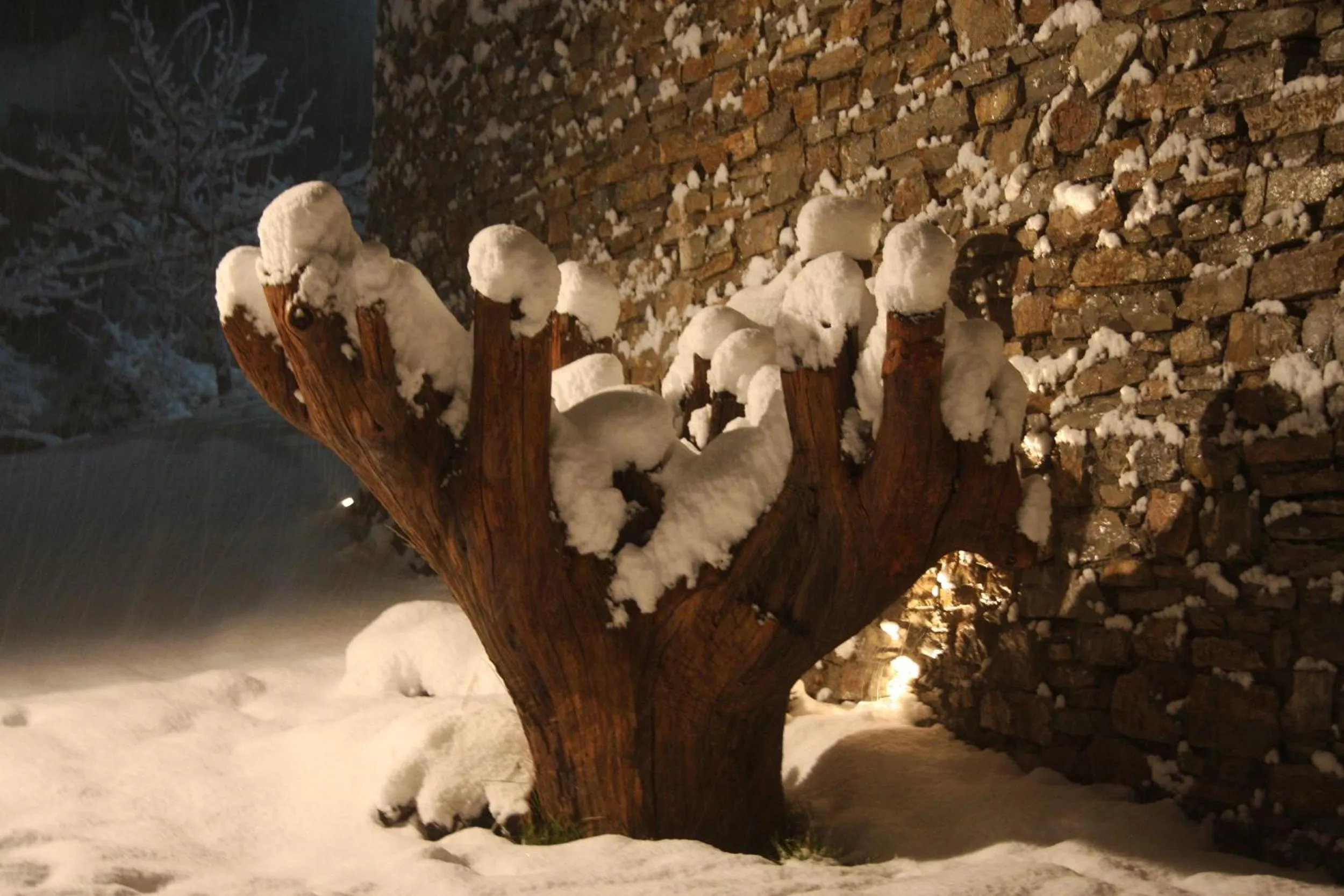 Decorative detail in Ta Petrina