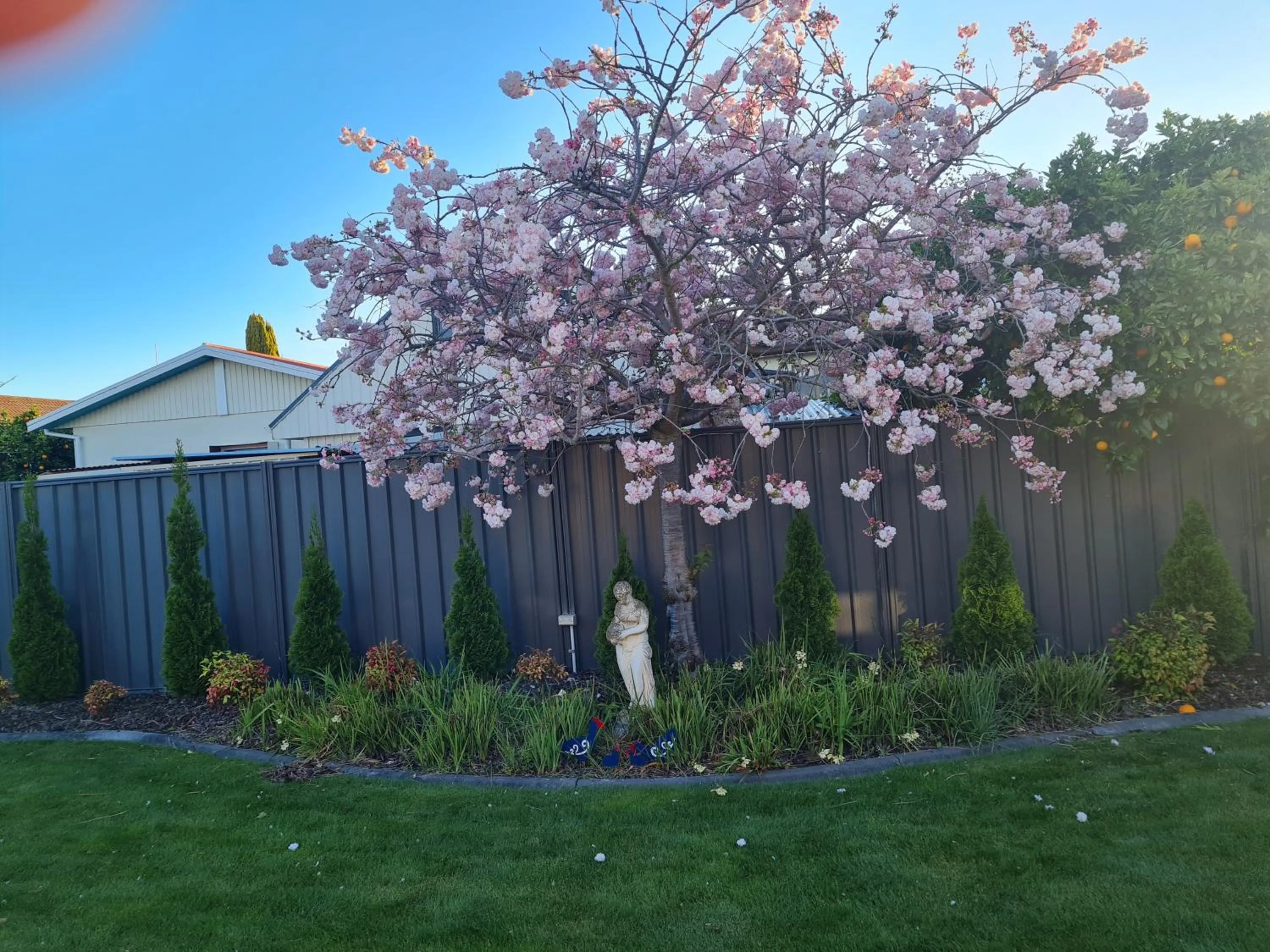 Property building in Liz on Lowry