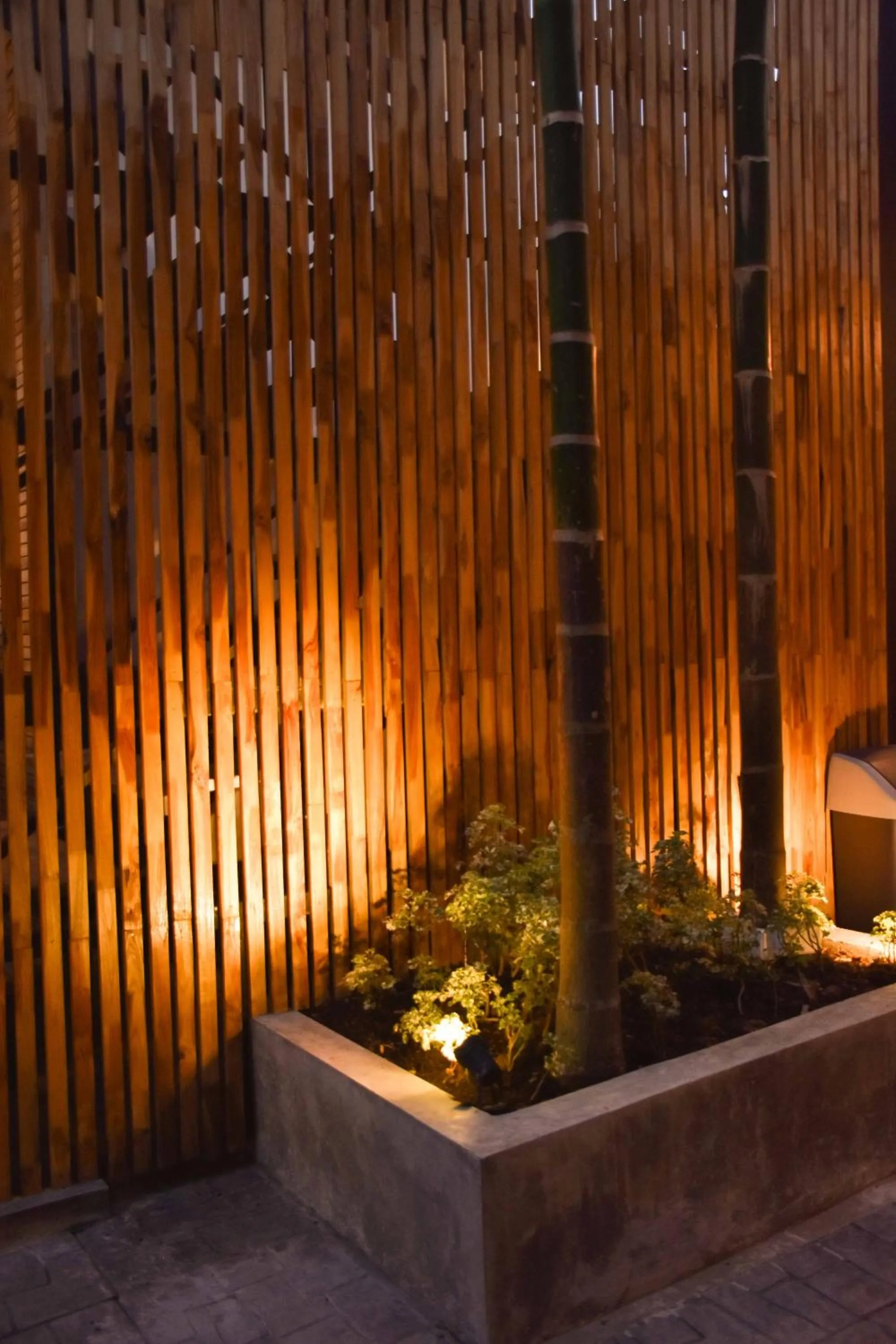 Garden in Momento Bangtao Beach