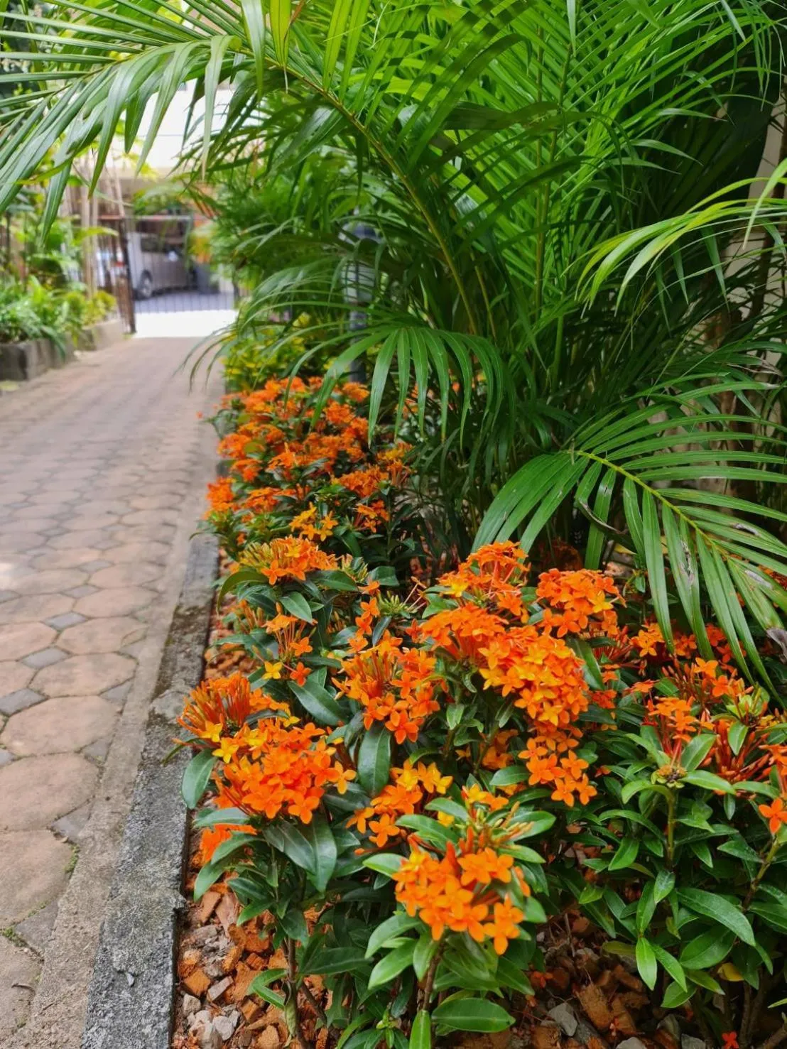 Garden in Momento Bangtao Beach